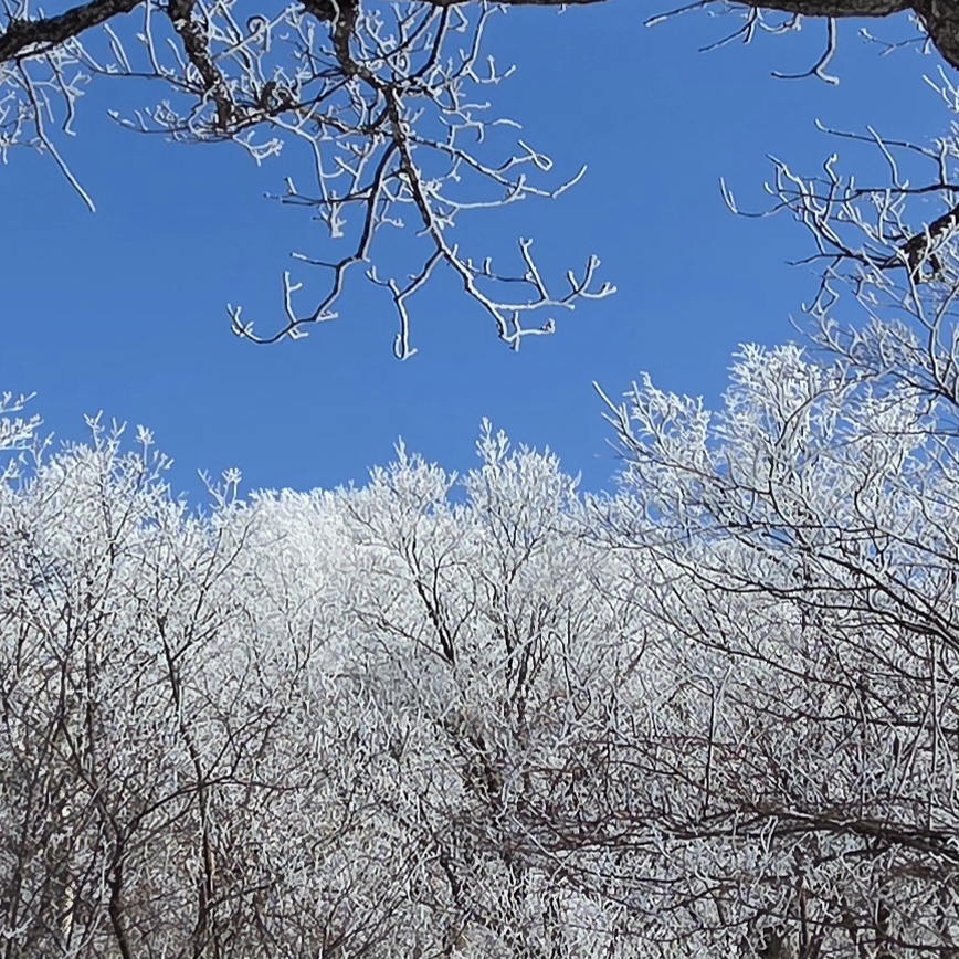 관심 유저 프로필 이미지