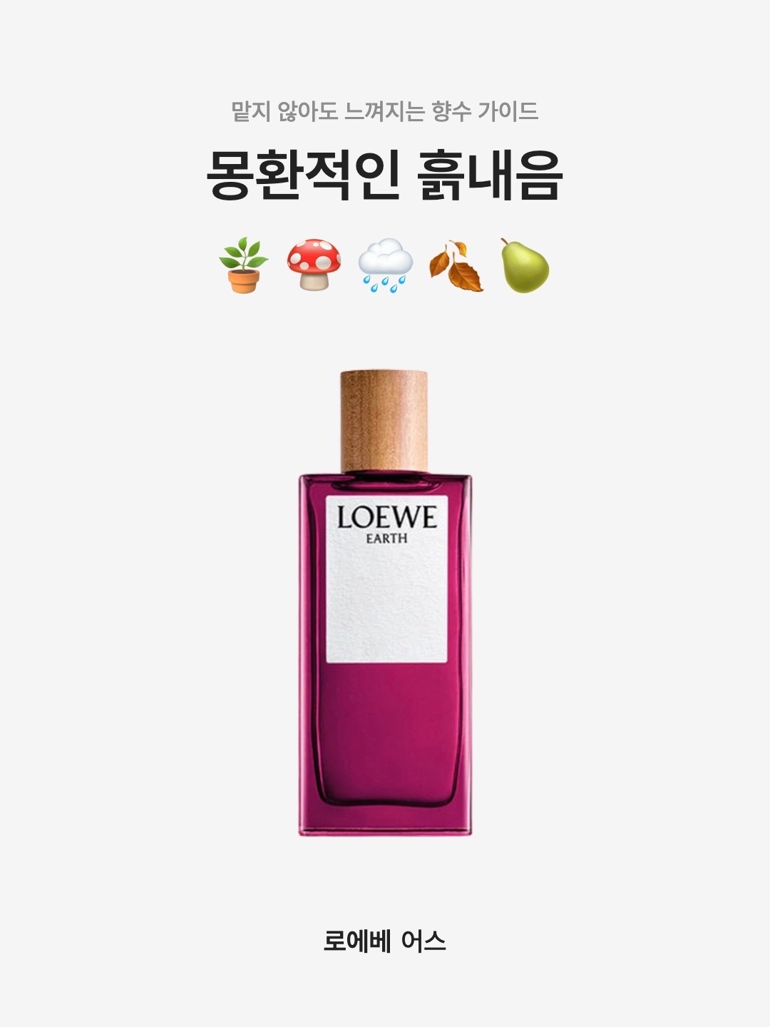 Loewe Earth Eau De Parfum 100ml 착용 스타일 - 1