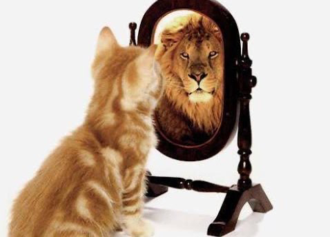 관심 유저 프로필 이미지