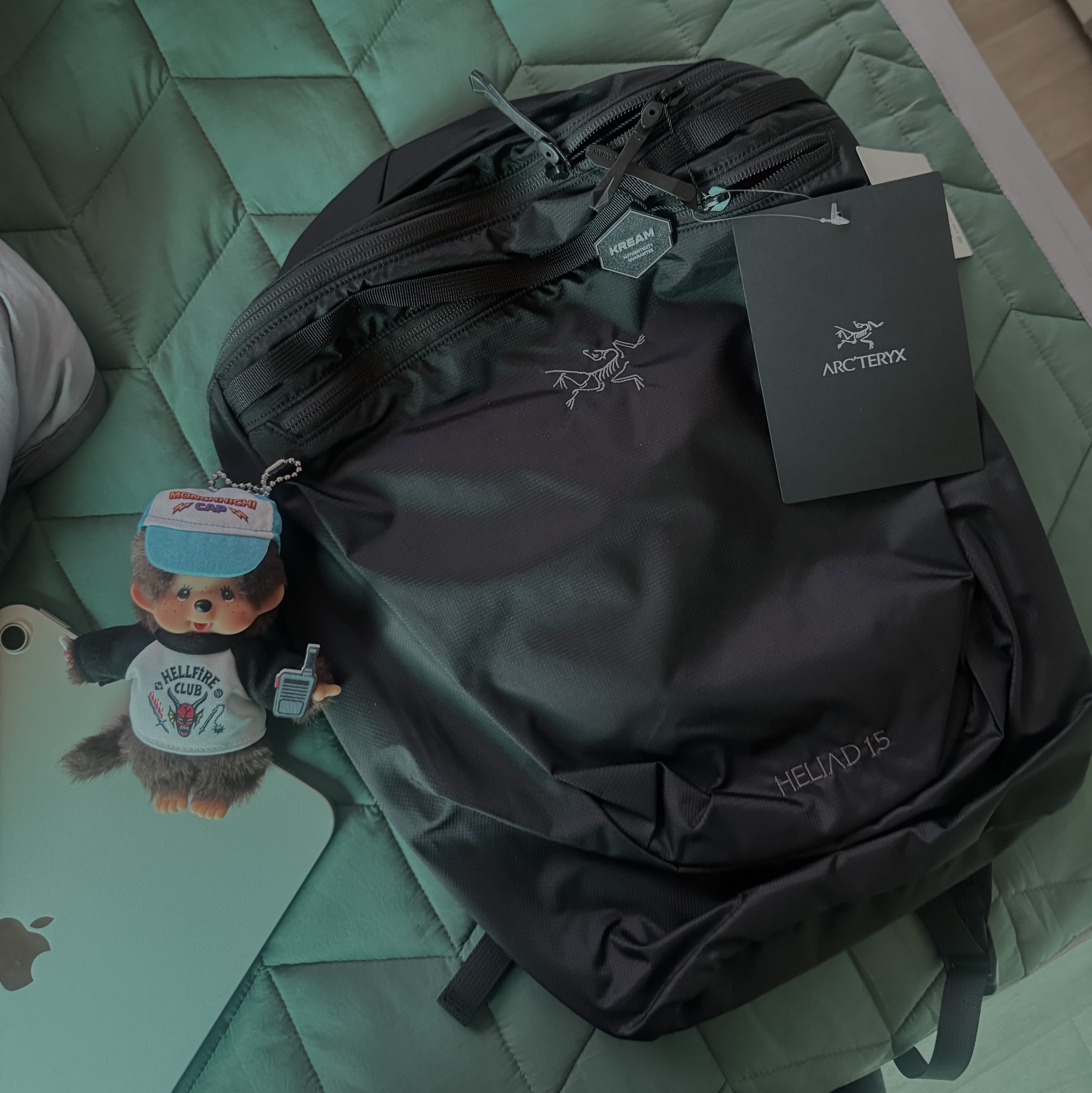 Arc'teryx Heliad 15 Backpack Black, Monchhichi x Strange Things Key Chain Hellfire Club 착용 스타일