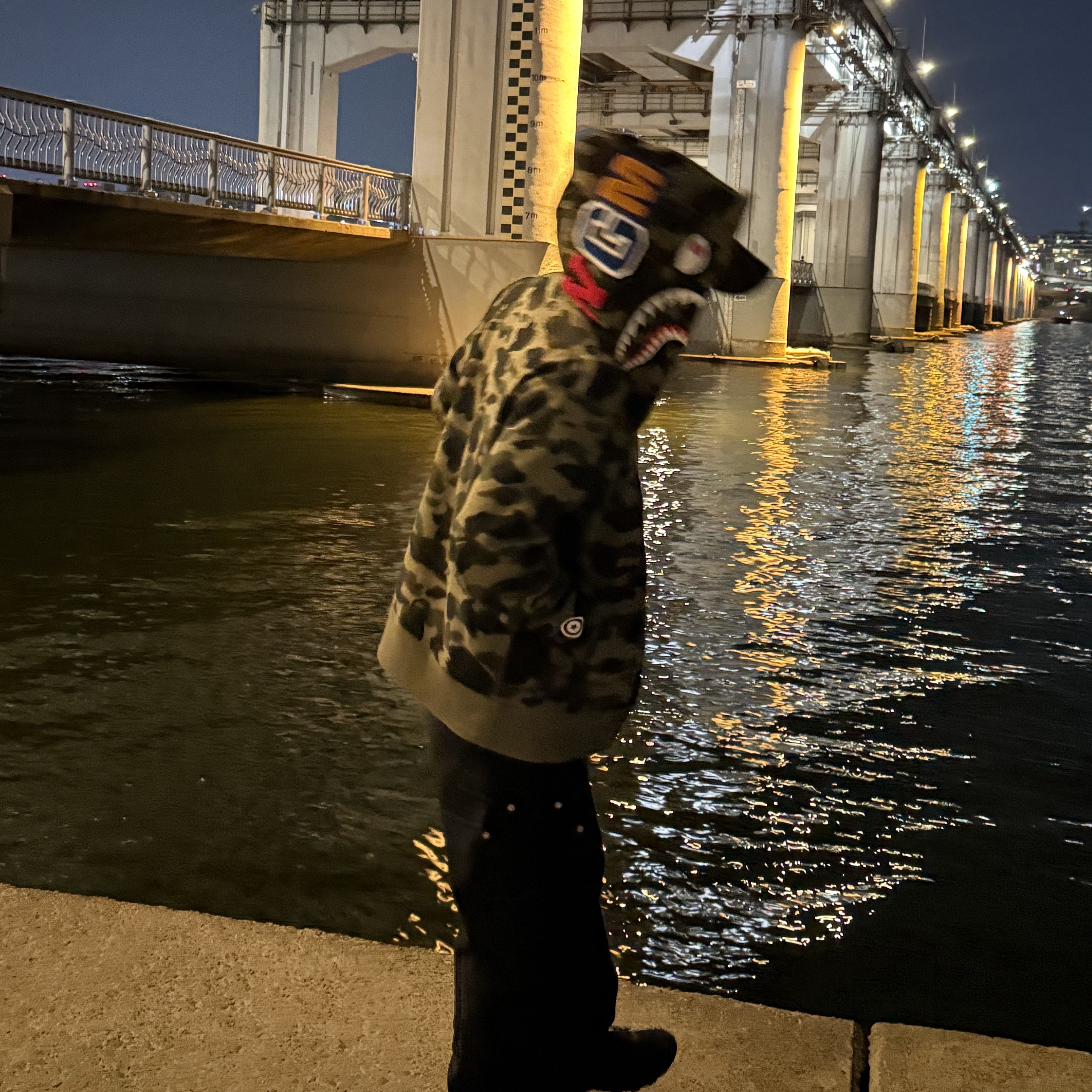 BAPE 1st Camo Shark Full Zip Hoodie Army Green 착용 스타일