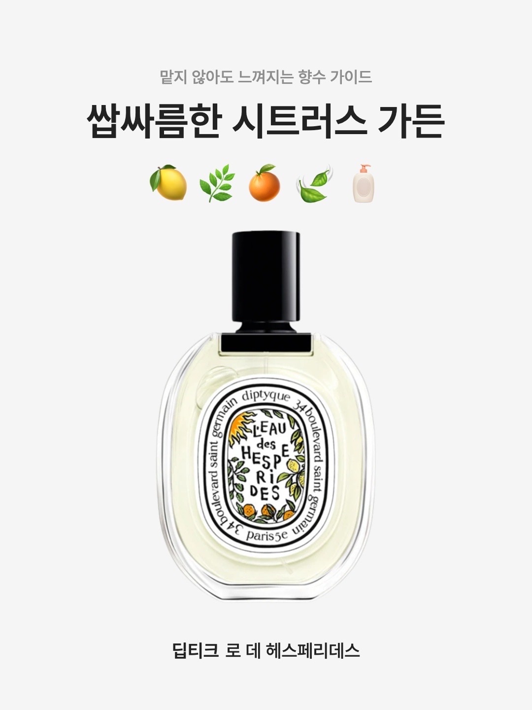 Diptyque L'eau Des Hesperides Limited Edition Eau De Toilette 100ml 착용 스타일 - 1