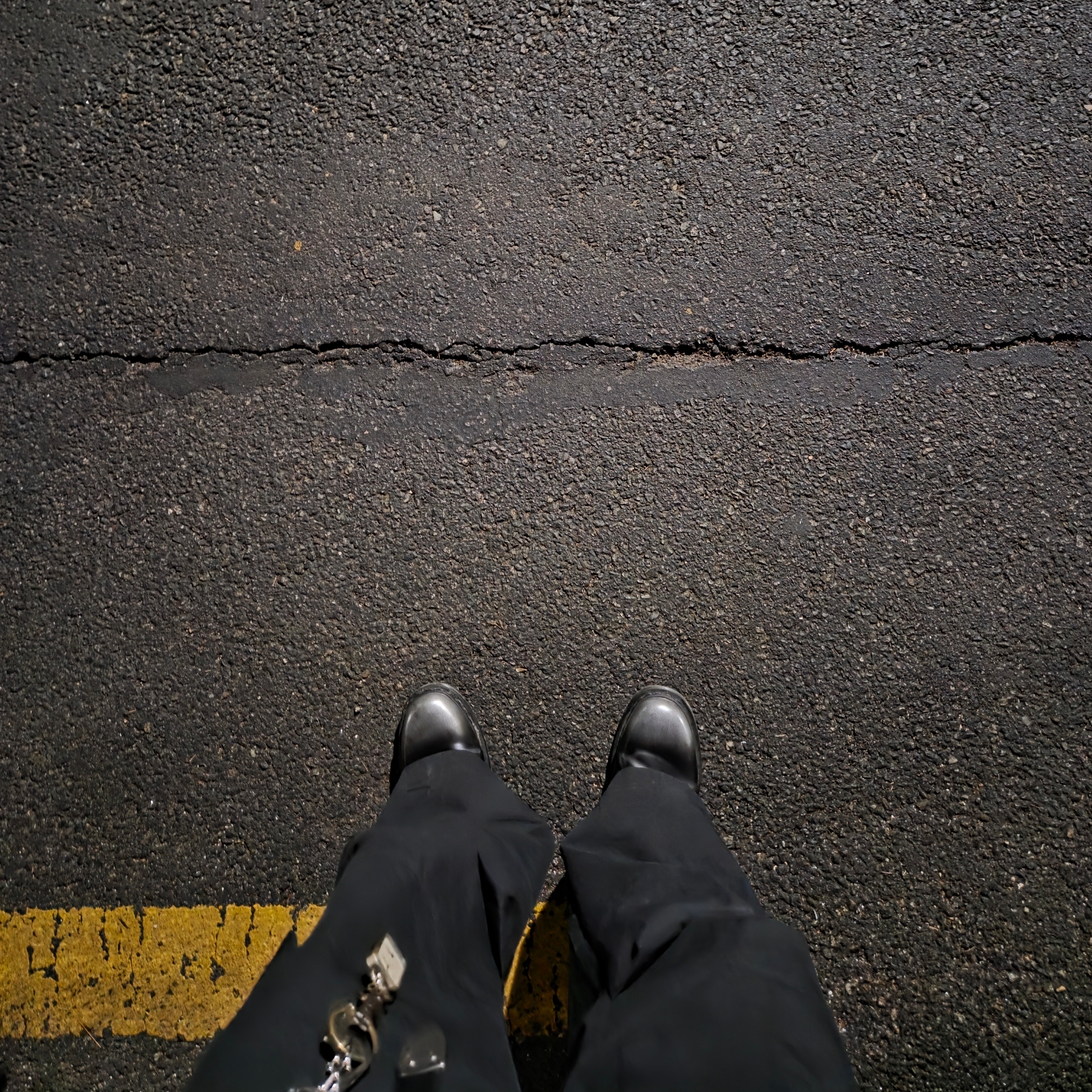 Dr. Martens 1461 Silver Arcadia Multi 착용 스타일 - 2
