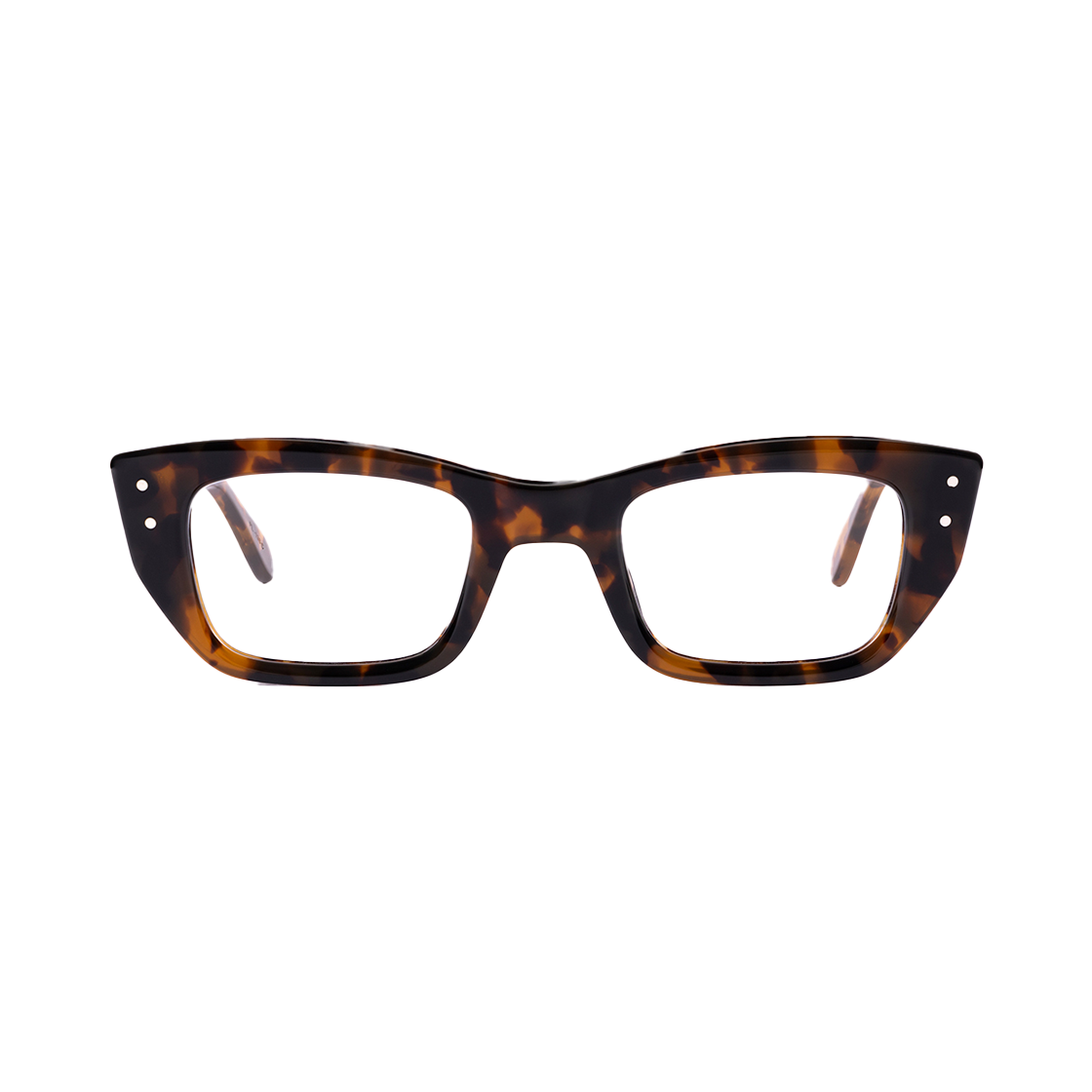 JTO Ponti 톨토이즈(JTO Ponti Tortoise)