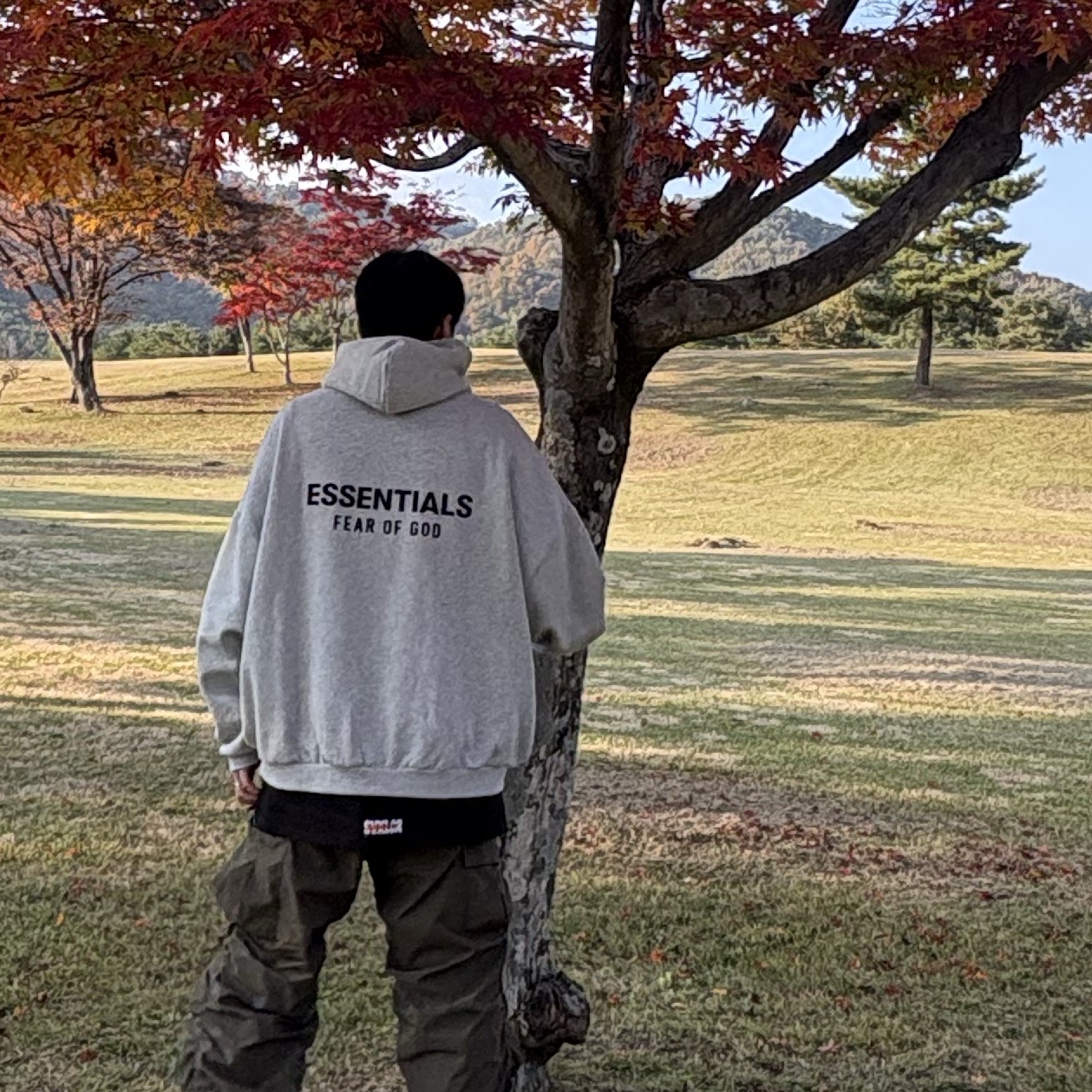 Essentials Fleece Hoodie Light Heather Grey - 24FW 착용 스타일