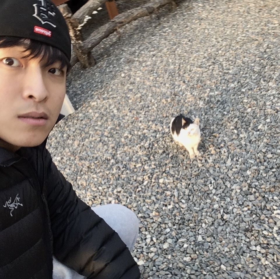 Arc'teryx Cerium Hoody Black, Supreme Multi S Logo New Era Black - 25SS 착용 스타일 - 2