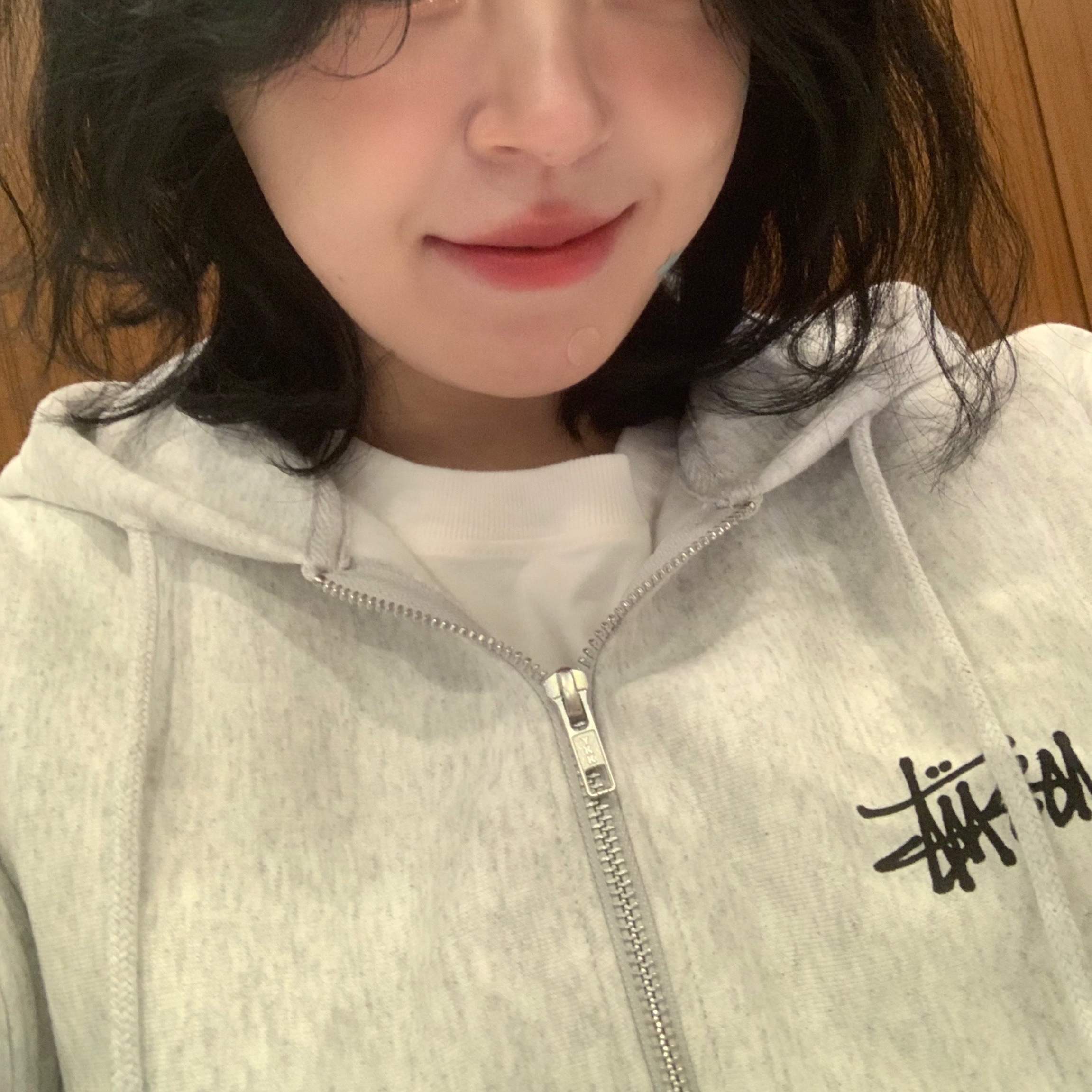 Stussy Basic Stussy Zip Hoodie Ash Heather 착용 스타일 - 2