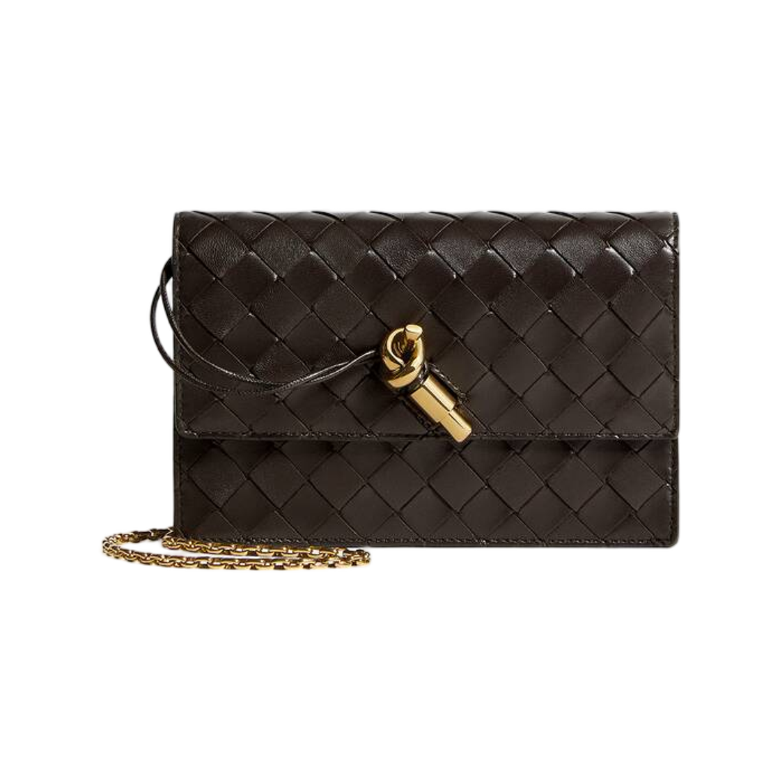 보테가 베네타 안디아모 파우치 온 체인 폰단트(Bottega Veneta Andiamo Pouch On Chain Fondant)
