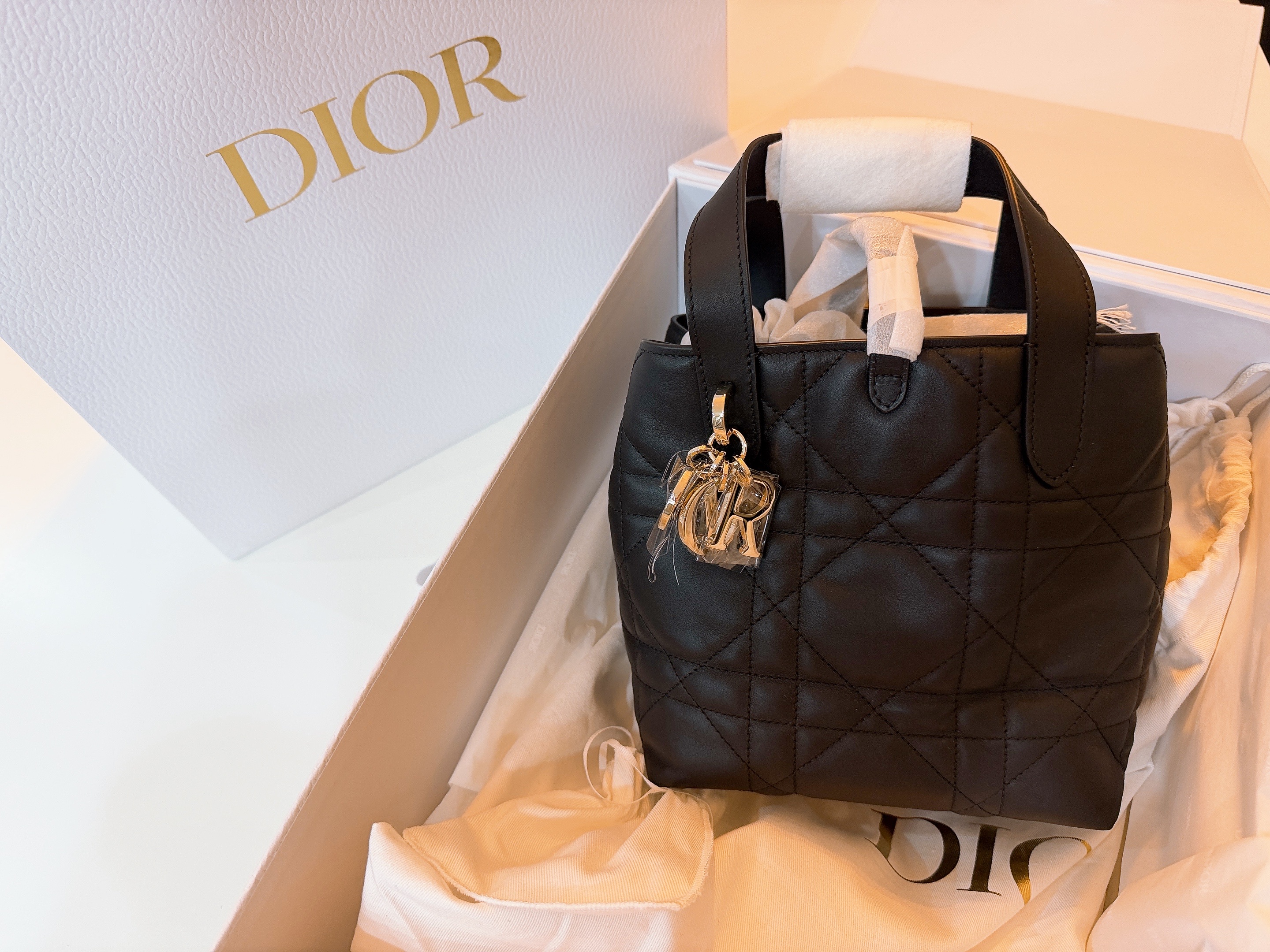 Dior Small Toujours Vertical Tote Bag Macrocannage Calfskin Black 착용 스타일 - 2