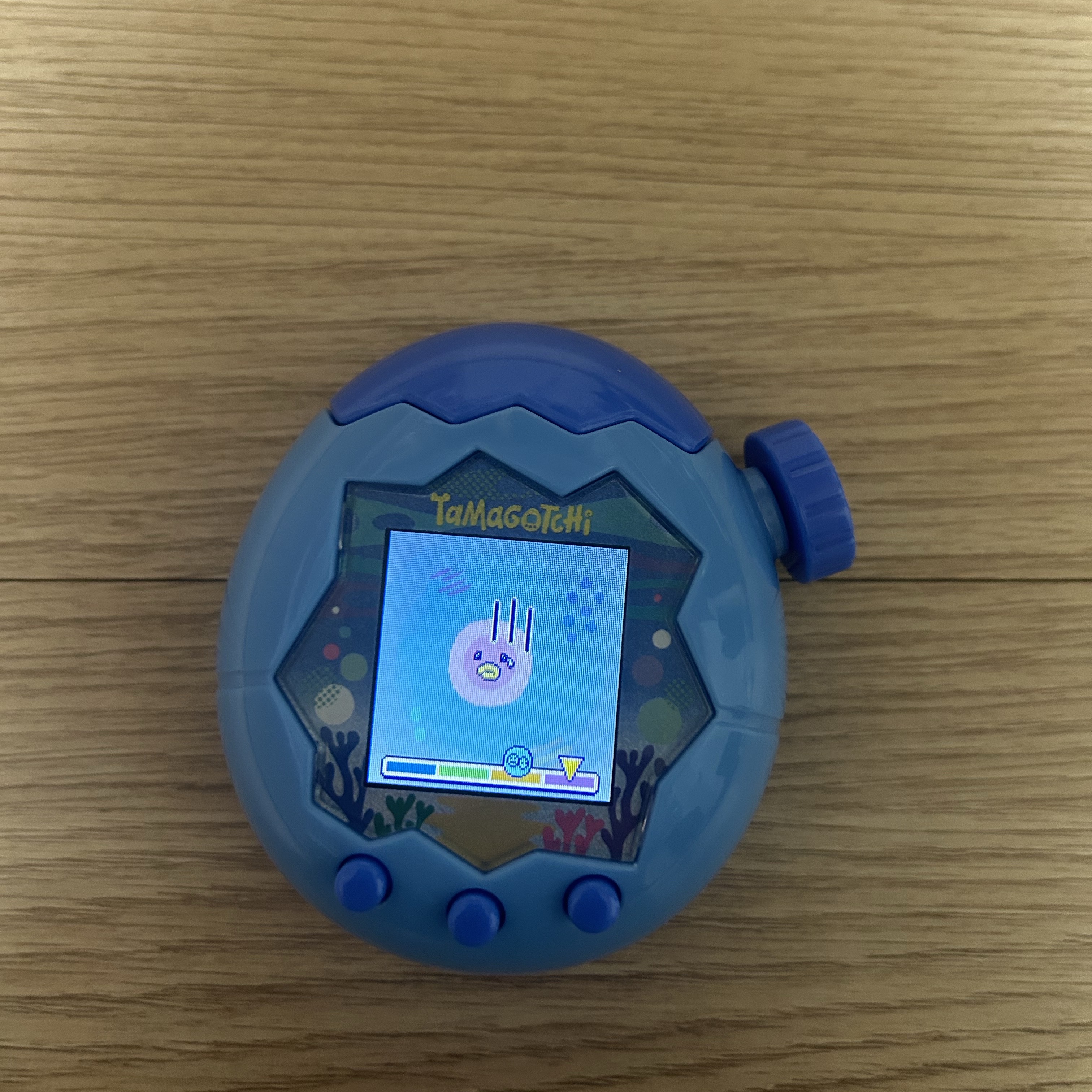 Tamagotchi Paradise Blue Water 착용 스타일 - 1
