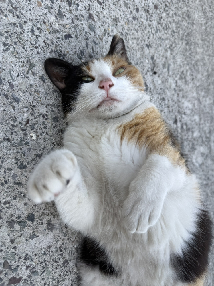 관심 유저 프로필 이미지