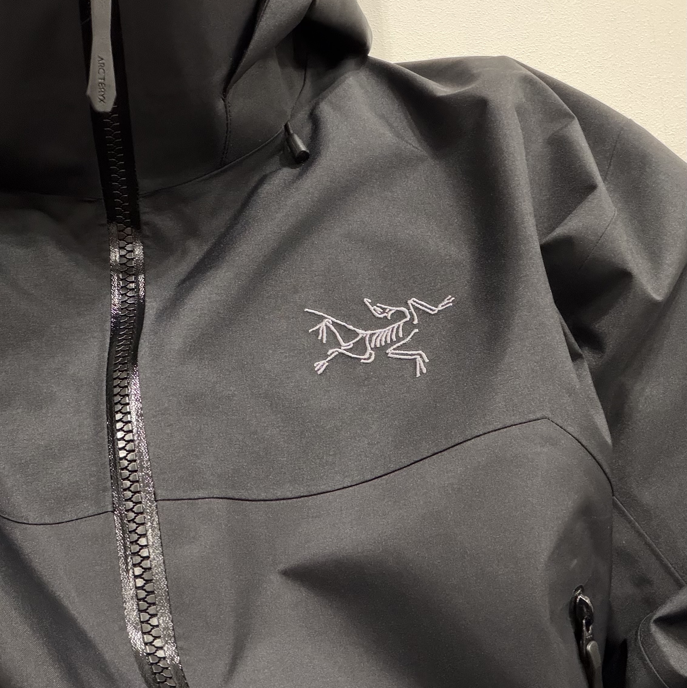 Arc'teryx Beta AR Jacket Black 착용 스타일