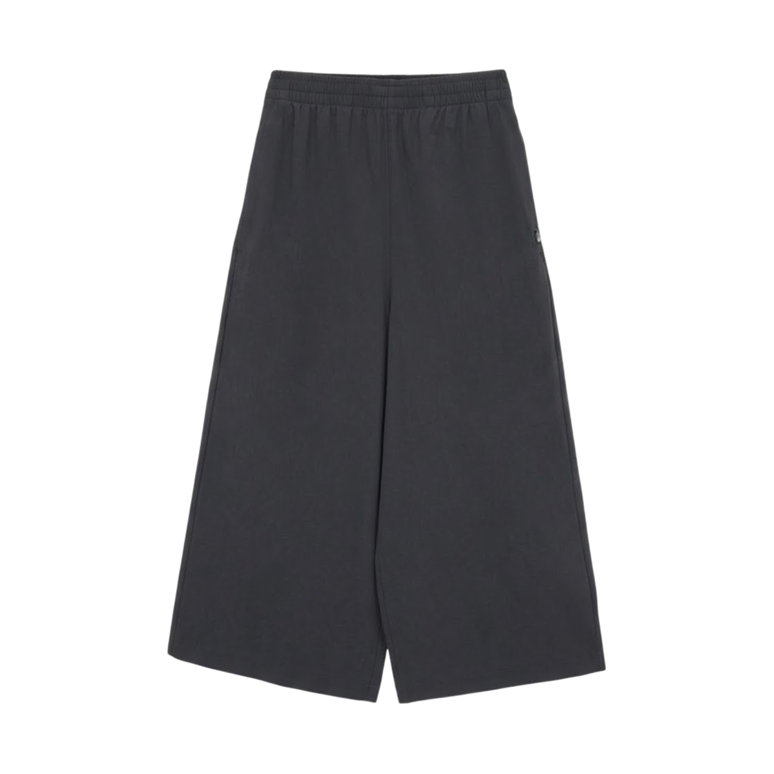 NP6NS40B (W) The North Face Icecube Pants Metal Gray - 26SS