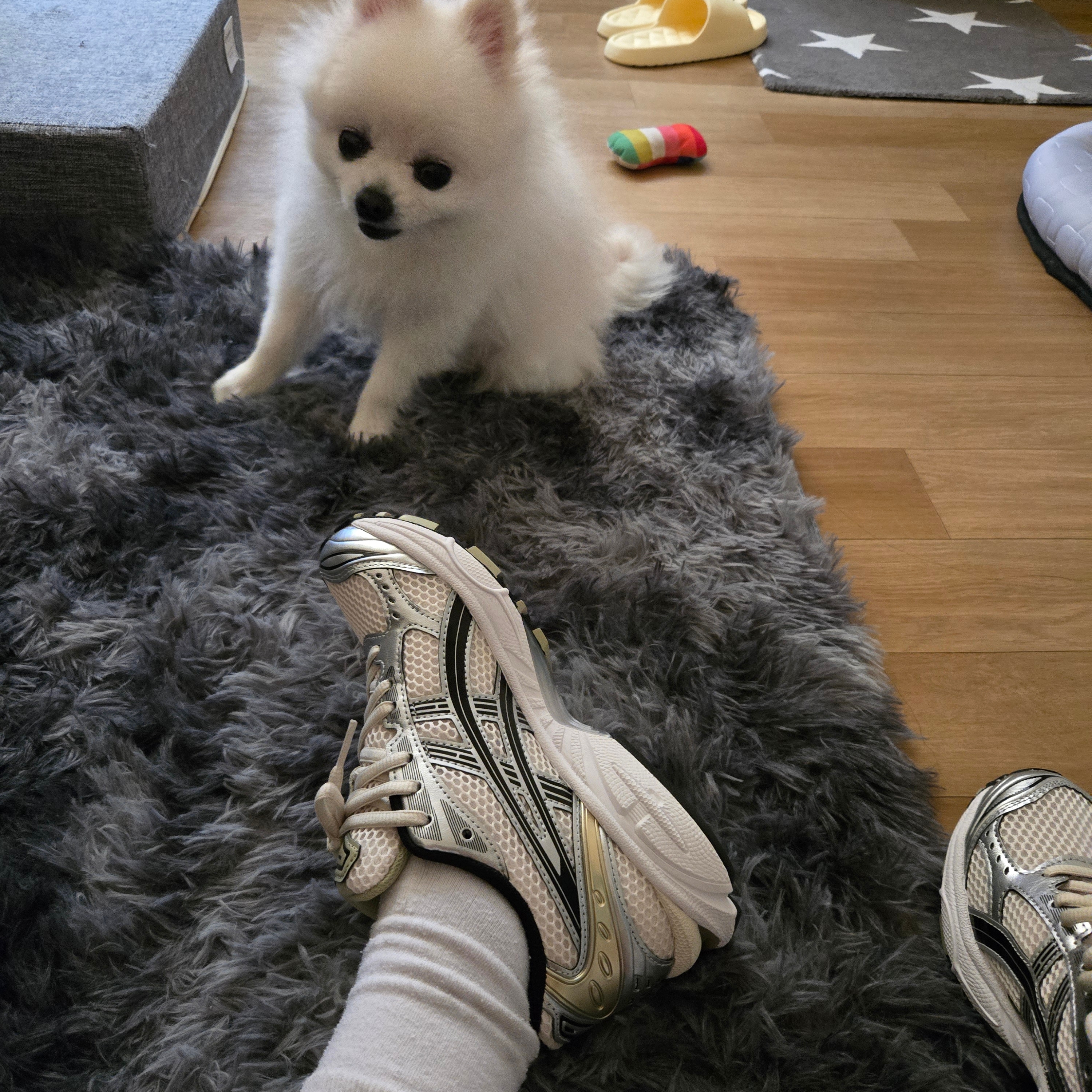 Asics Gel-Kayano 14 Birch Pure Silver 착용 스타일 - 2