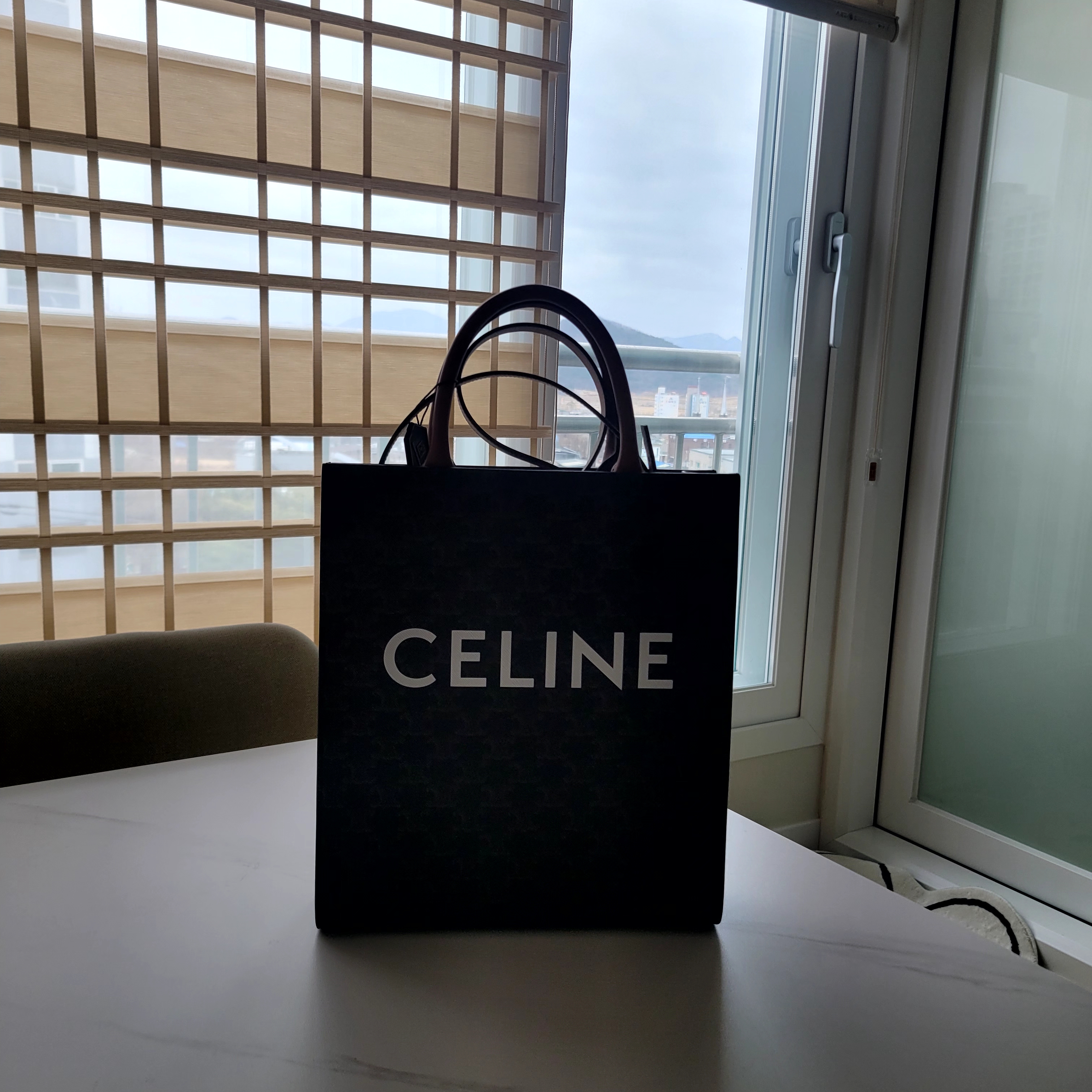 Celine Small Cabas Vertical in Triomphe Canvas Calfskin Tan 착용 스타일