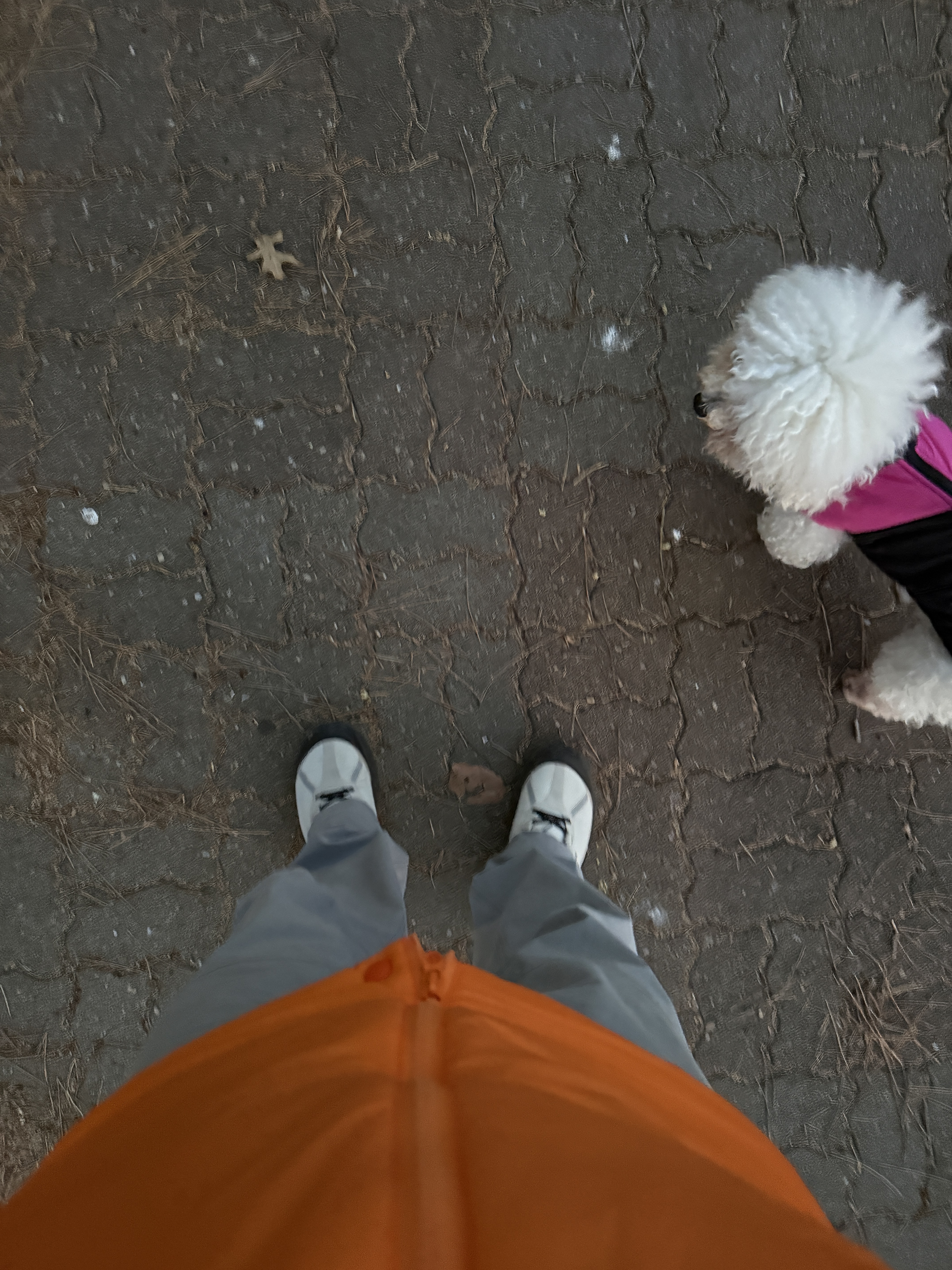 Norda 001/A Cinder, Arc'teryx Nuclei SV Parka Phenom 착용 스타일