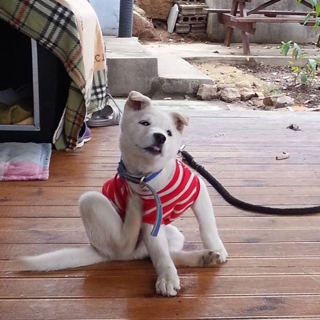 관심 유저 프로필 이미지