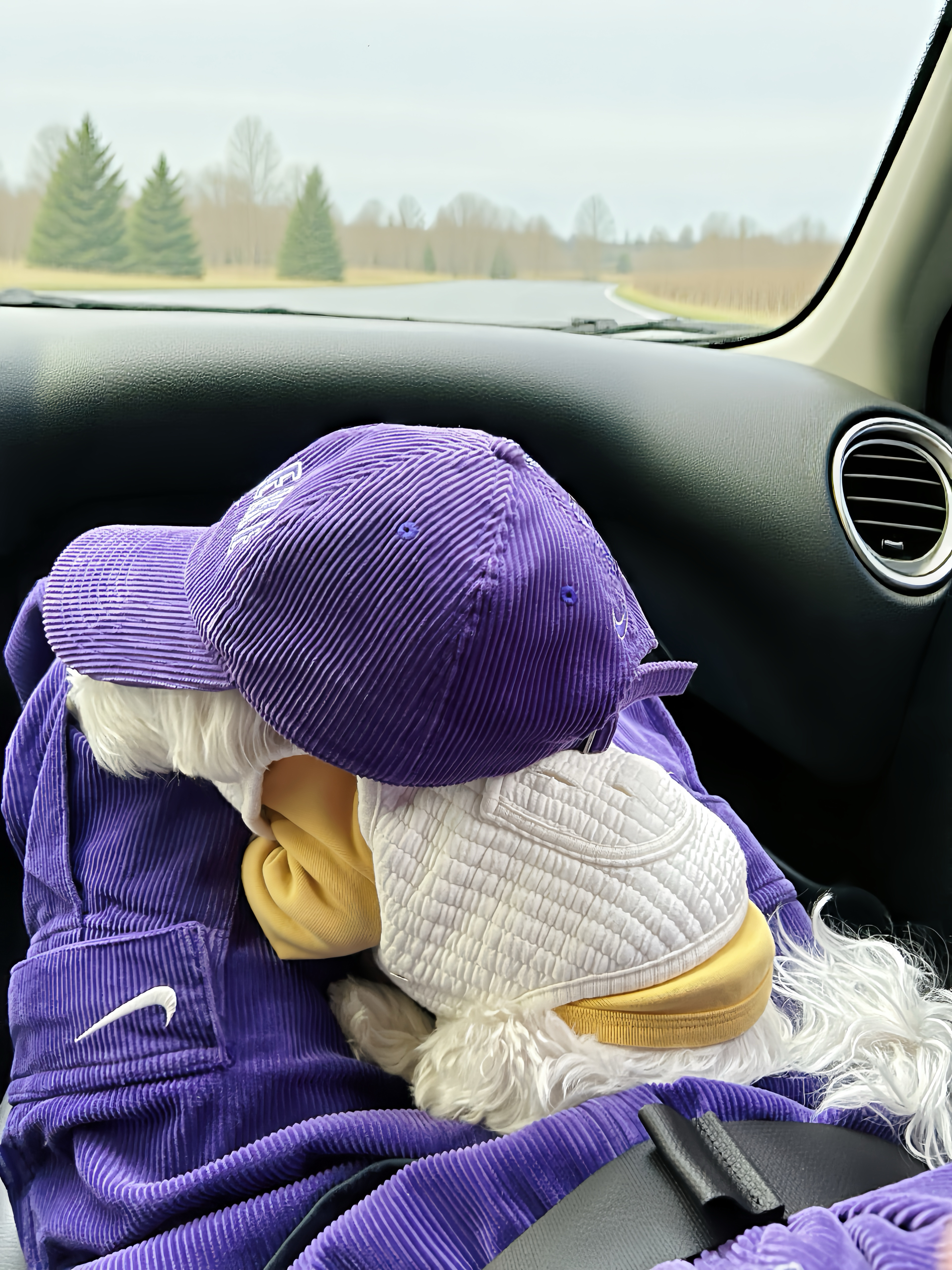 Supreme x Nike Arc Corduroy 6-Panel Purple - 22SS, Supreme x Nike Arc Corduroy Hooded Jacket Purple - 22SS 착용 스타일 - 2