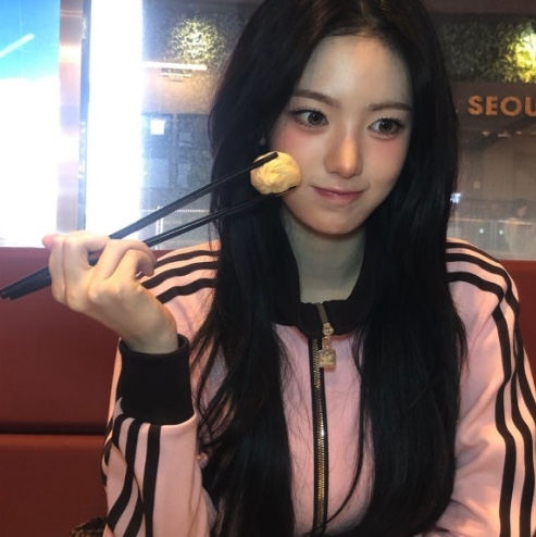 (W) Adidas Premium Originals Track Top Clear Pink Shadow Brown - KR Sizing, Adidas Originals Beckenbauer Track Jacket Maroon - KR Sizing 착용 스타일 - 3