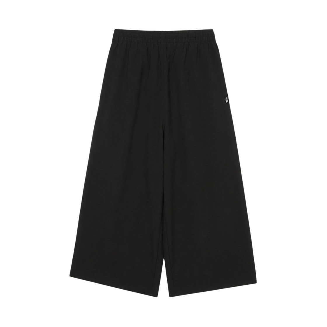 NP6NS40A (W) The North Face Icecube Pants Black - 26SS