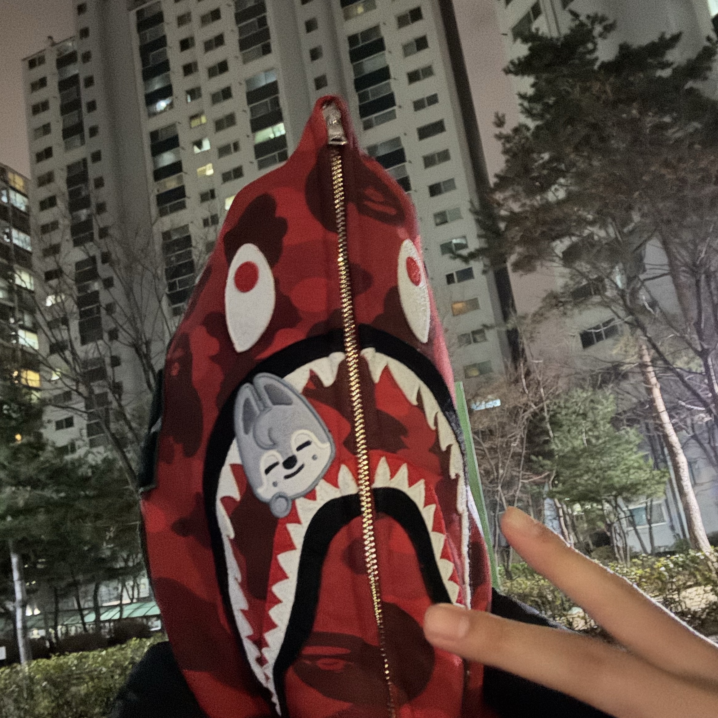 BAPE x Stray Kids Shark Full Zip Hoodie Woolf Chan 착용 스타일