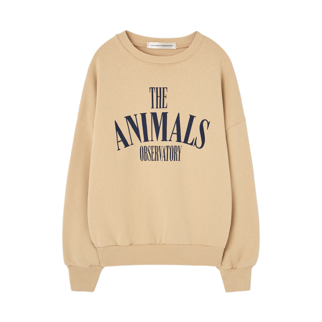 (키즈) 타오 킬리피쉬 스웨트셔츠 소프트 브라운((Kids) TAO Killfish Sweatshirt Soft Brown) - 1