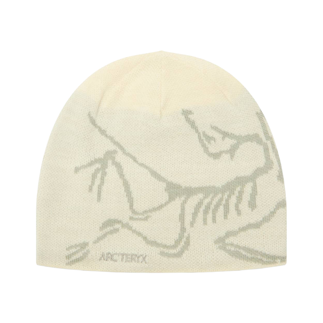 아크테릭스 버드 헤드 토크 씨 솔트 해비타트(Arc'teryx Bird Head Toque Sea Salt Habitat)