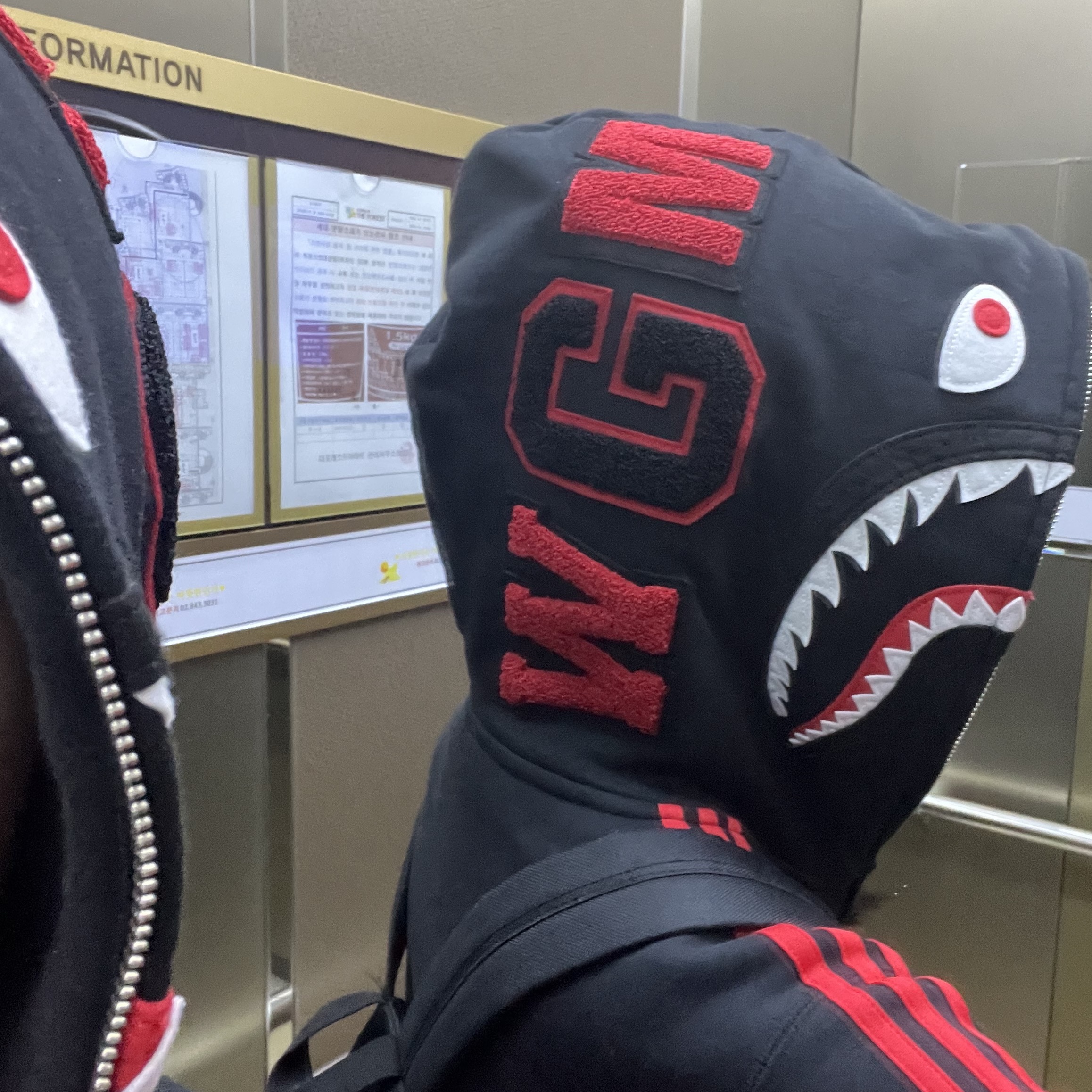 Adidas x BAPE Ultimate Shark Hoodie Black - US Sizing 착용 스타일