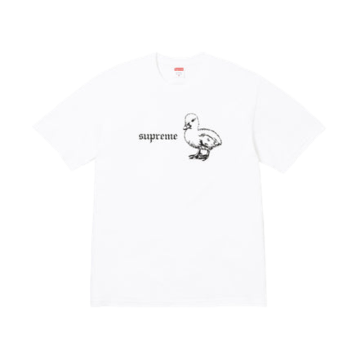 썸네일 4