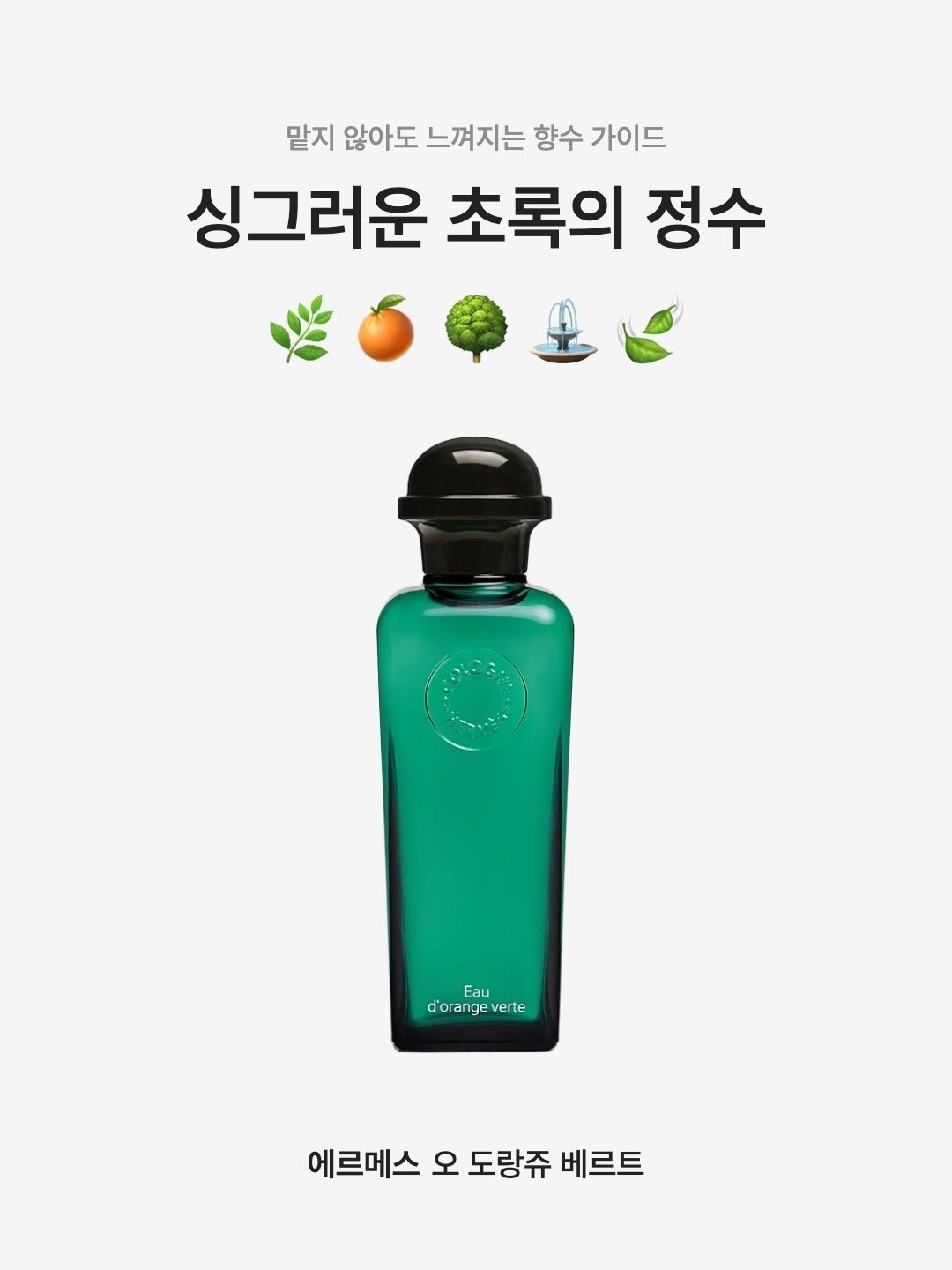 Hermes Eau d’Orange Verte Eau de Cologne 100ml 착용 스타일 - 1