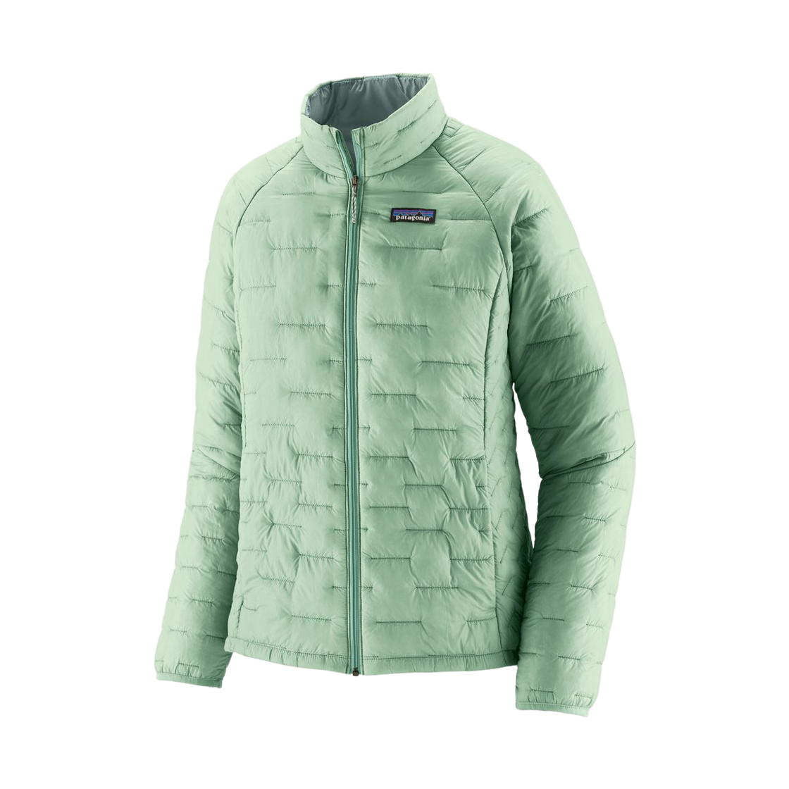 84071 (W) Patagonia Micro Puff Jacket Thin Ice