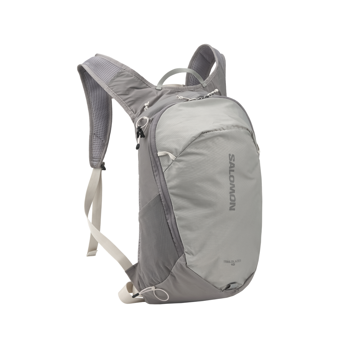 LC2855900 Salomon Trailblazer 10 Grey