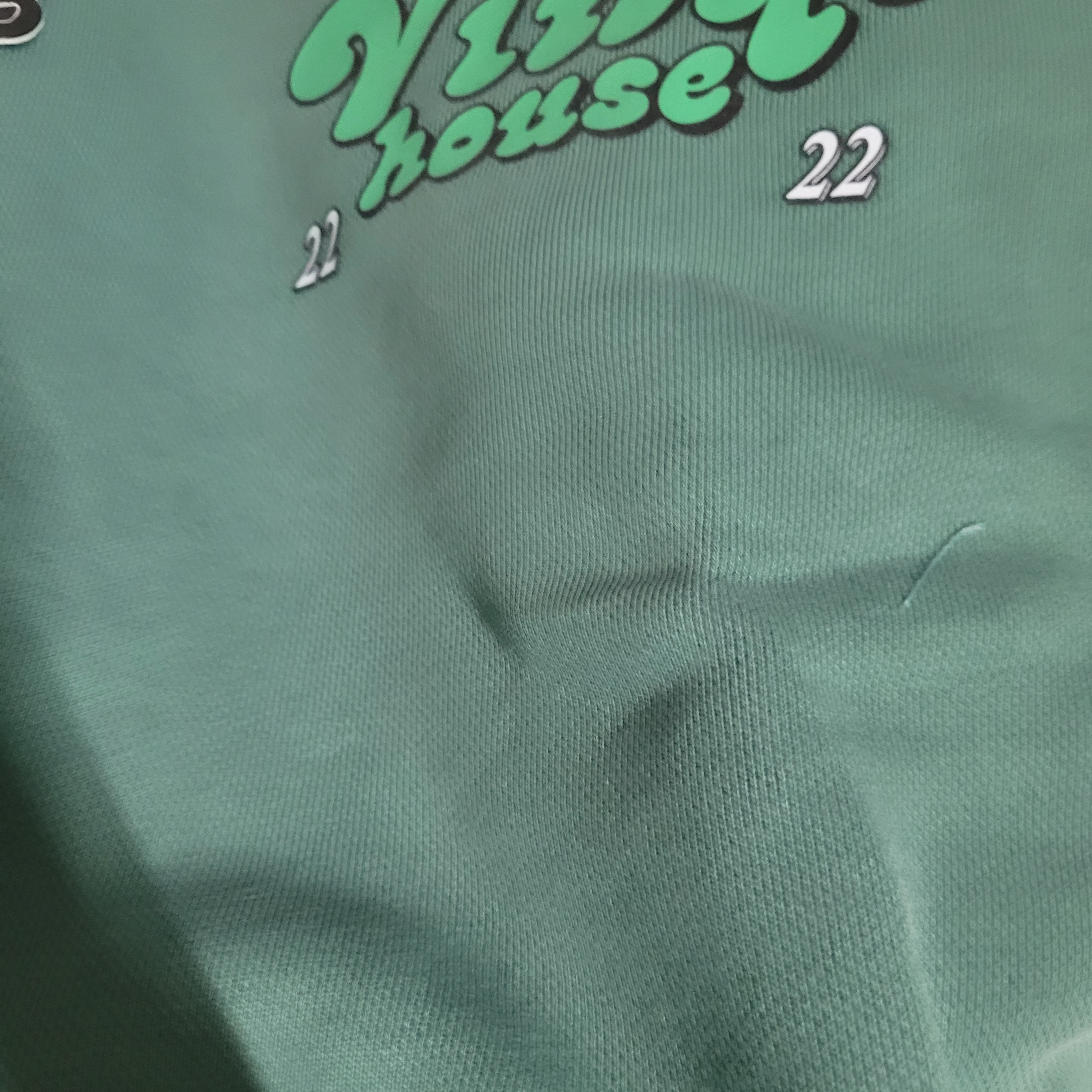 Thevinylhouse Logo Pigment Sweatshirt Green 착용 스타일