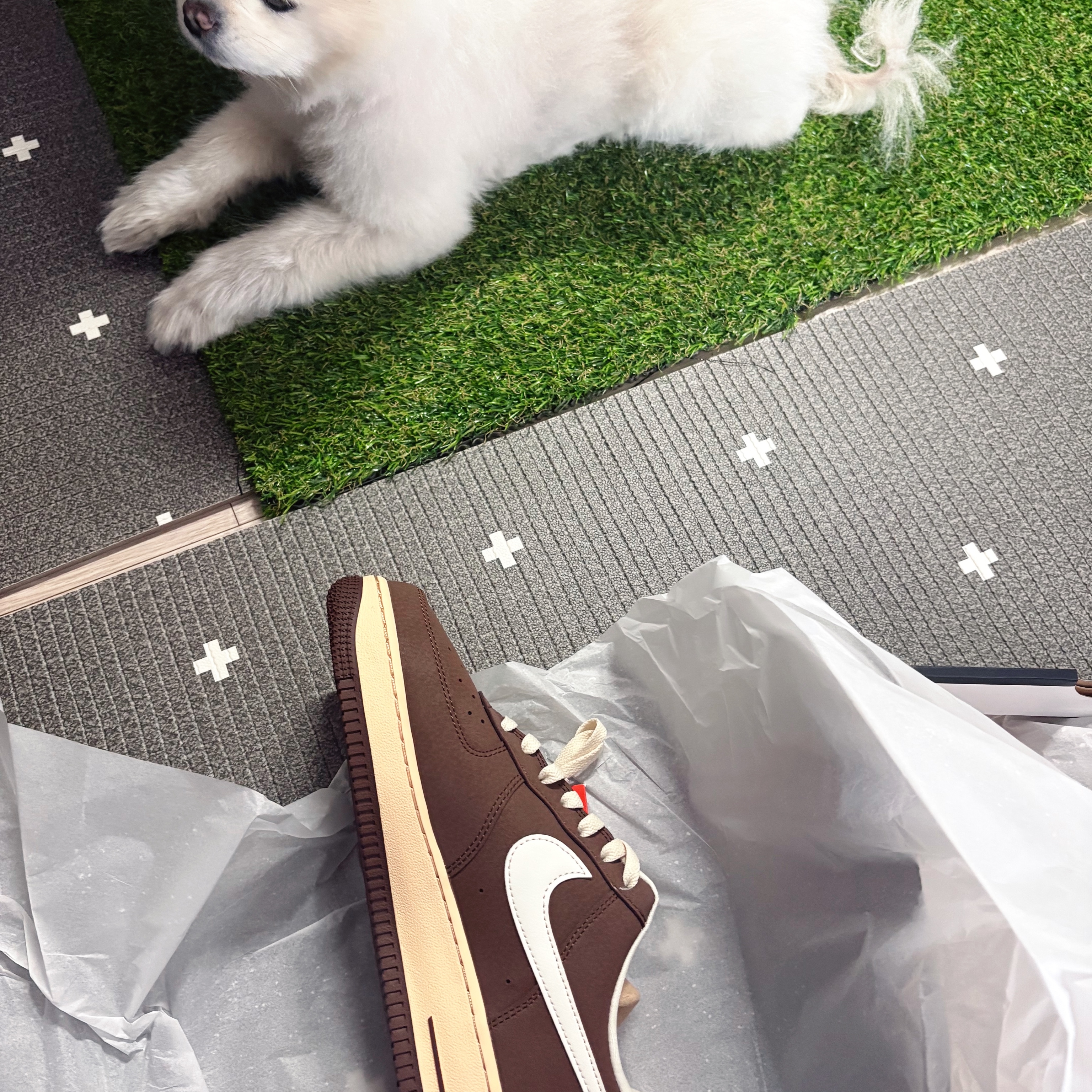 Nike Air Force 1 '07 Cacao Wow Coconut Milk 착용 스타일 - 1