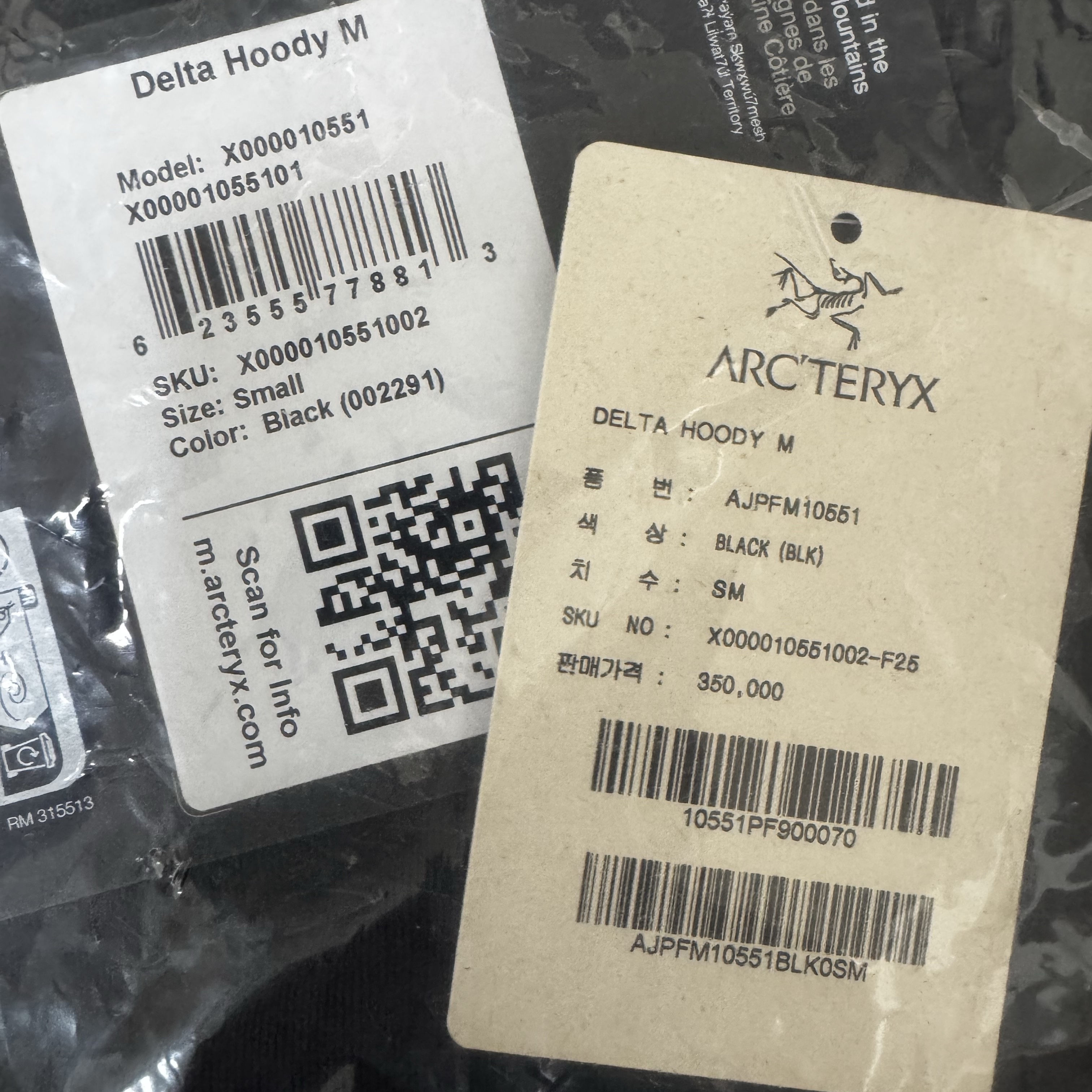 Arc'teryx Delta Hoody Black 착용 스타일