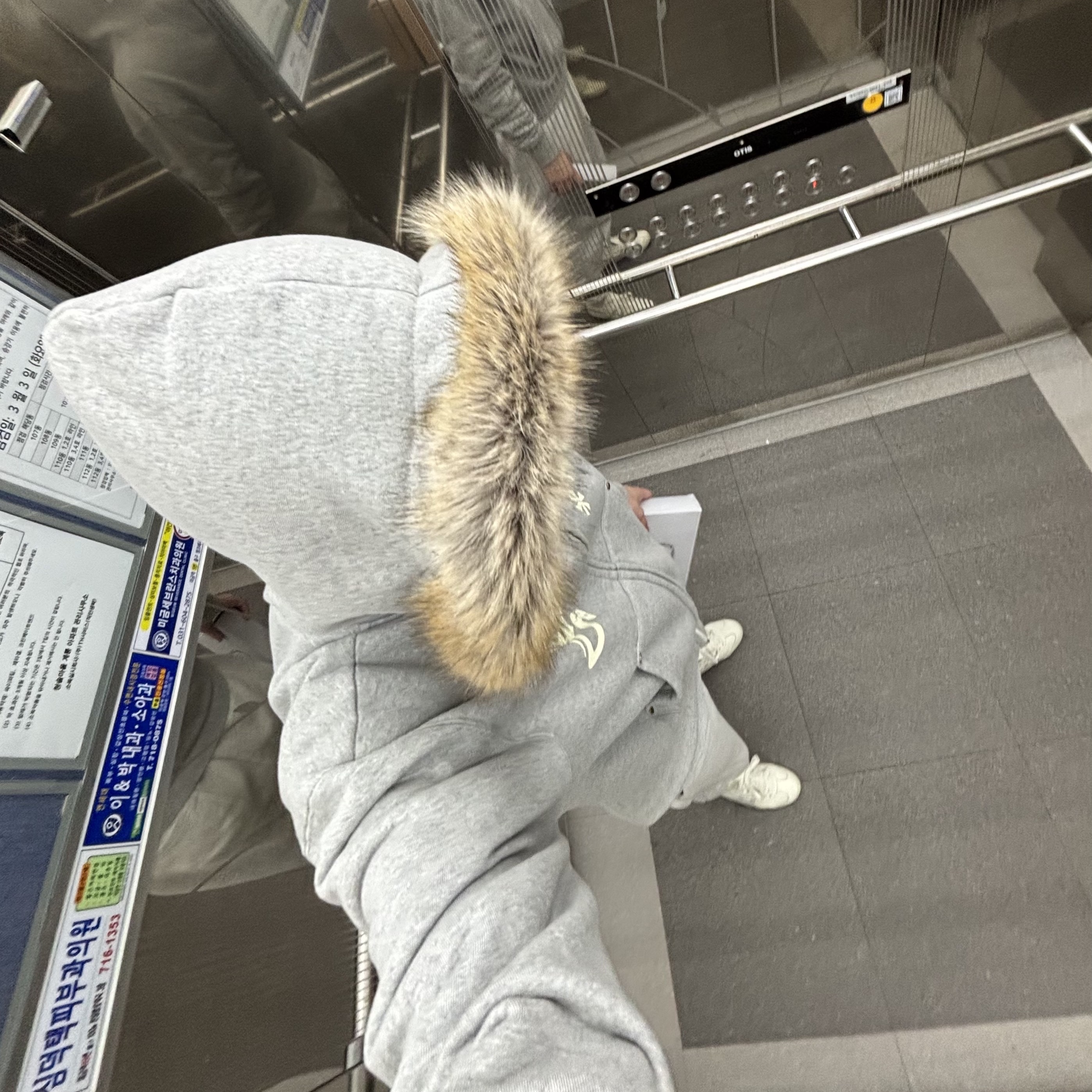 AMOU Fur Hoodie Zip Up Gray, Onitsuka Tiger Mexico 66 White Light Sage 착용 스타일 - 1