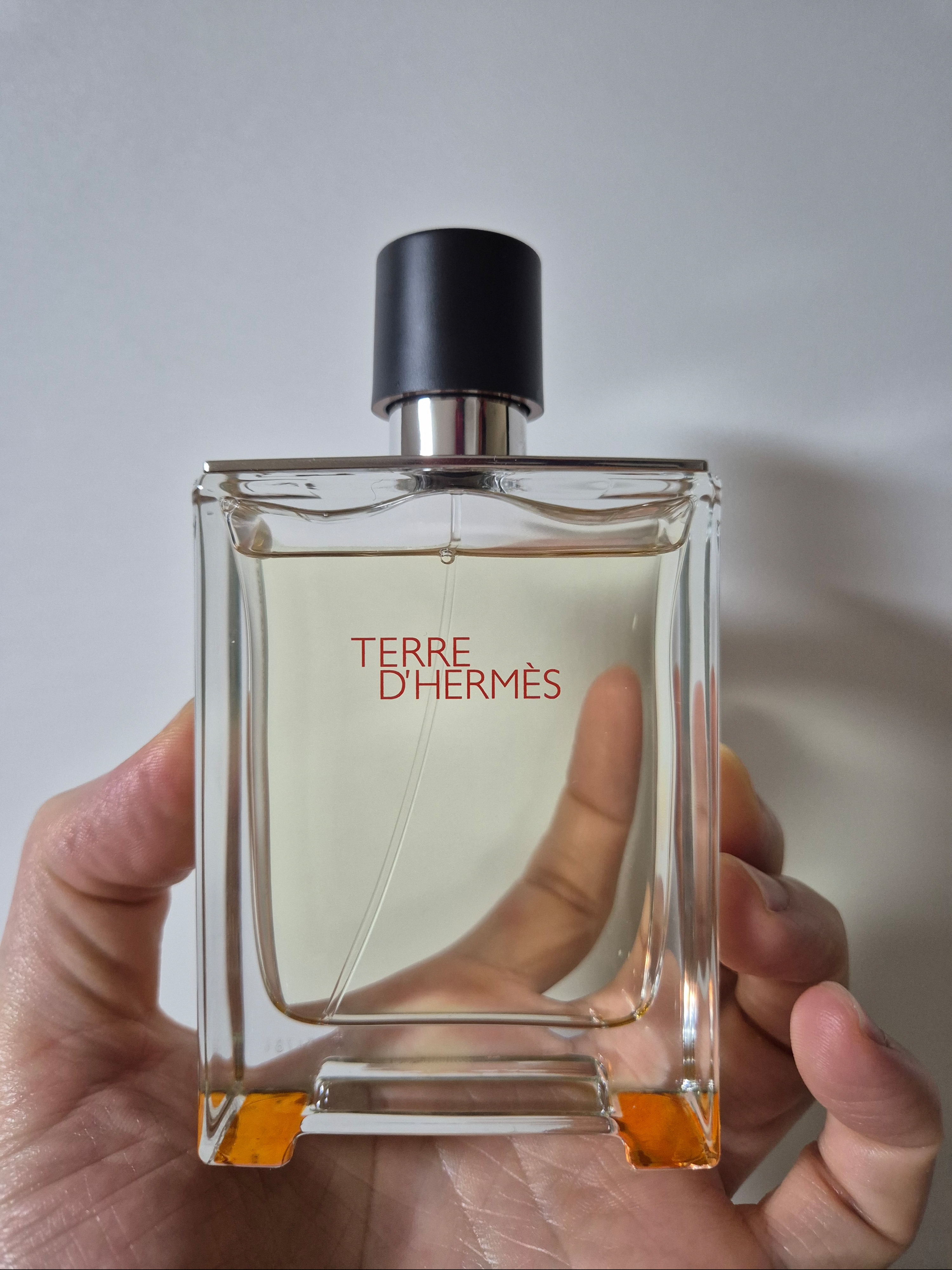 Hermes Terre d’Hermes Eau de Toilette 100ml 착용 스타일