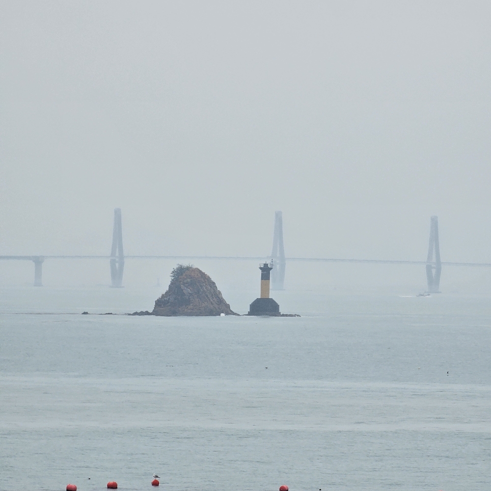 관심 유저 프로필 이미지