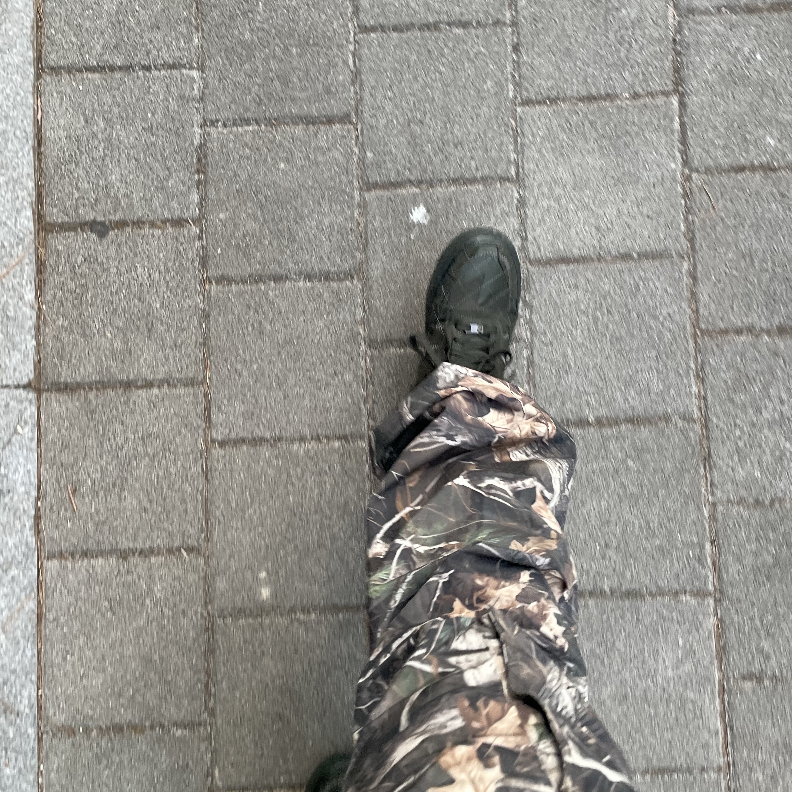 Nike x Billie Eilish Air Force 1 Low '07 SP Sequoia 착용 스타일