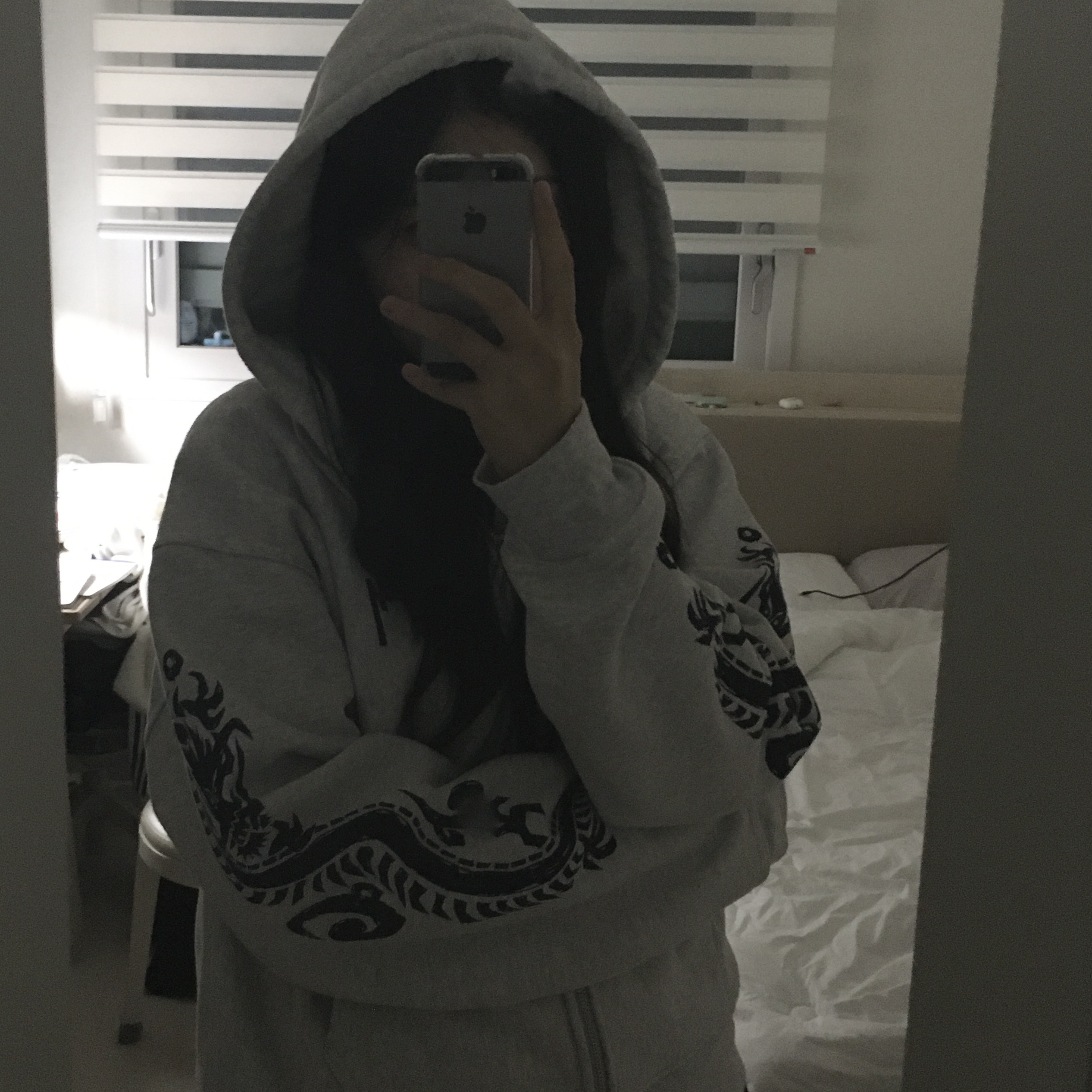 Stussy Dragons Zip Hoodie Ash Heather 착용 스타일 - 2