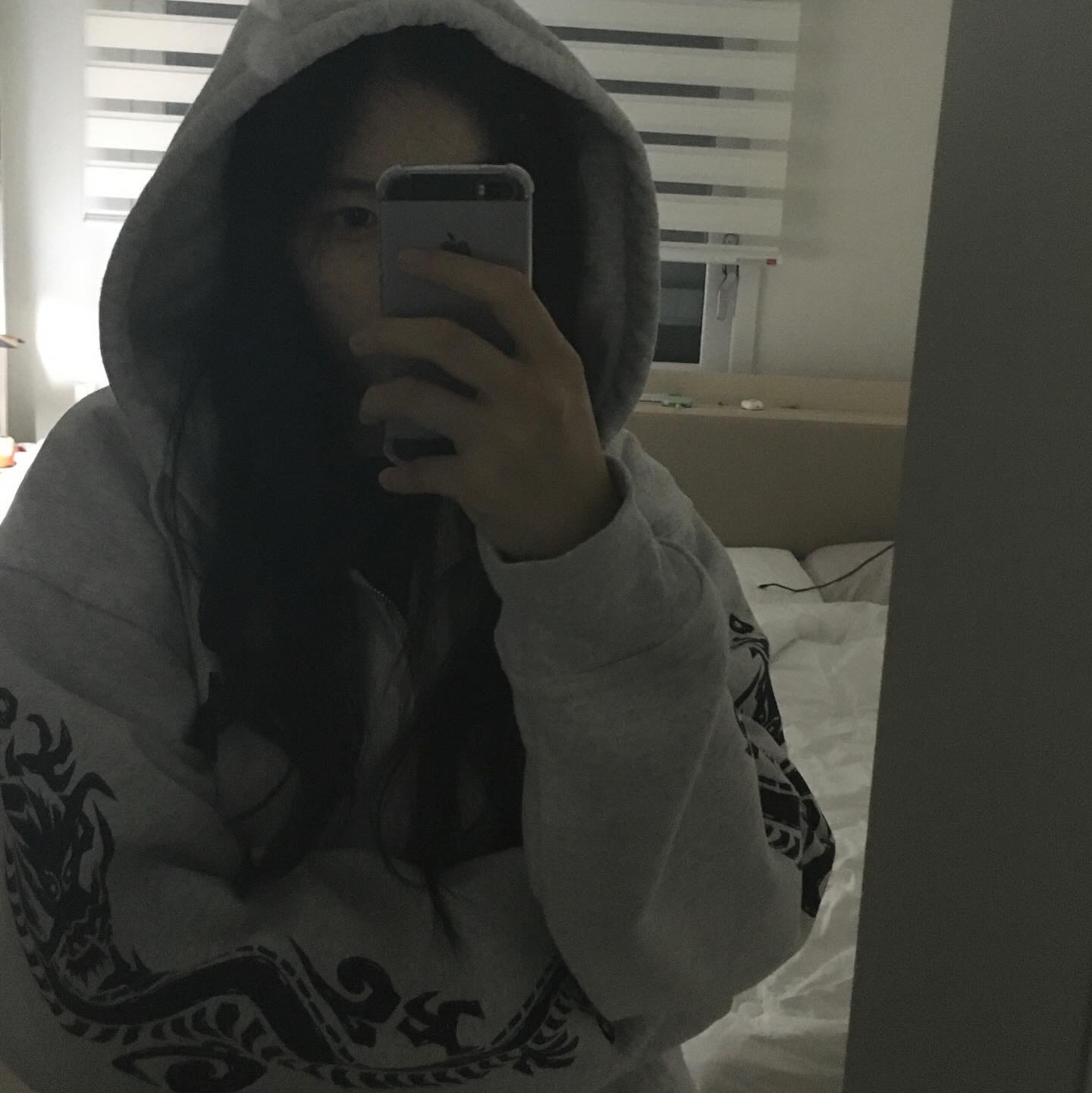 Stussy Dragons Zip Hoodie Ash Heather 착용 스타일 - 1