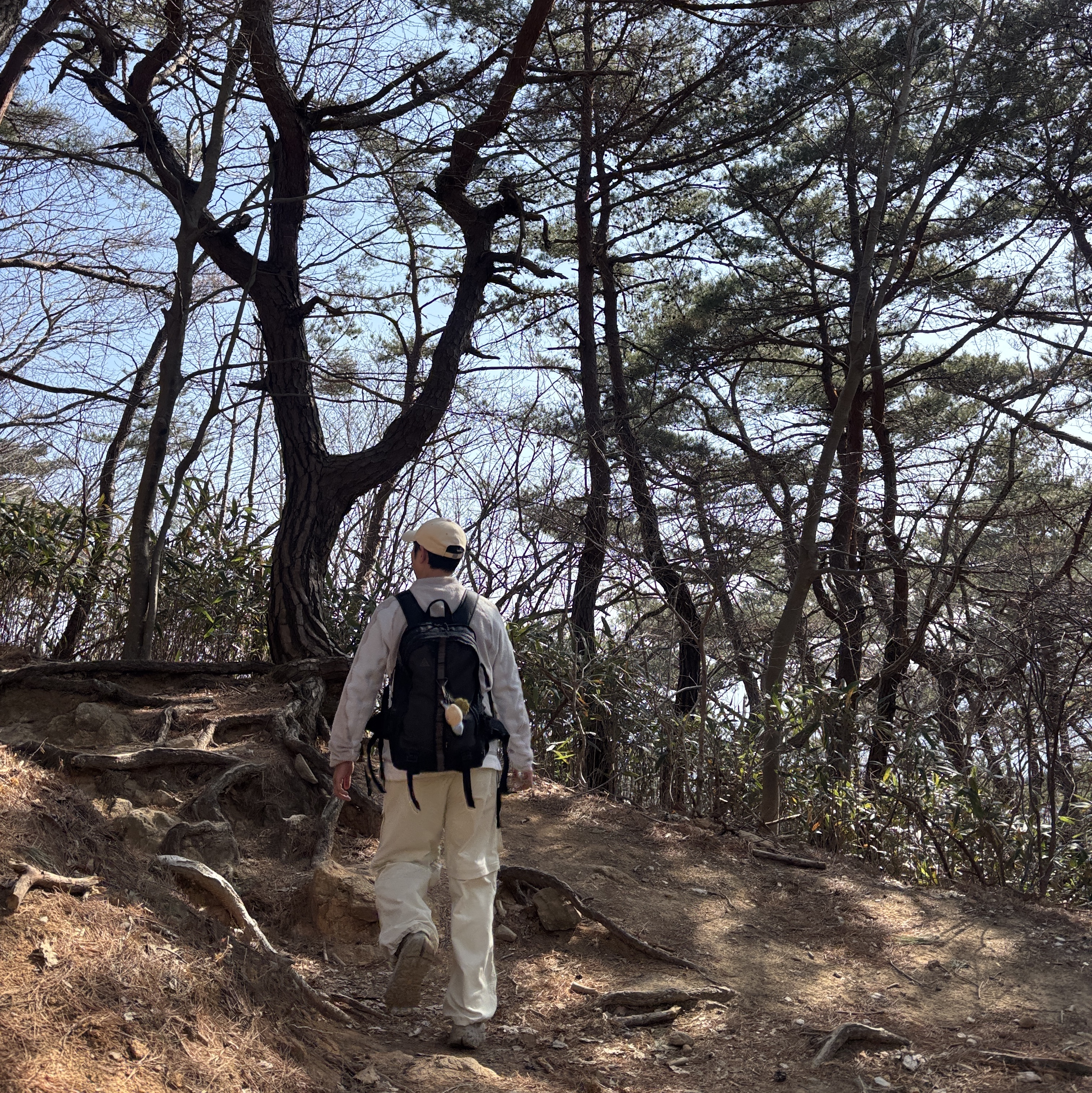 Nike ACG Wolf Lichen Crewneck College Grey Grey Fog - Asia, Nike ACG Smith Summit Zip Cargo Pants Light Khaki Parachute Beige - Asia 착용 스타일 - 4