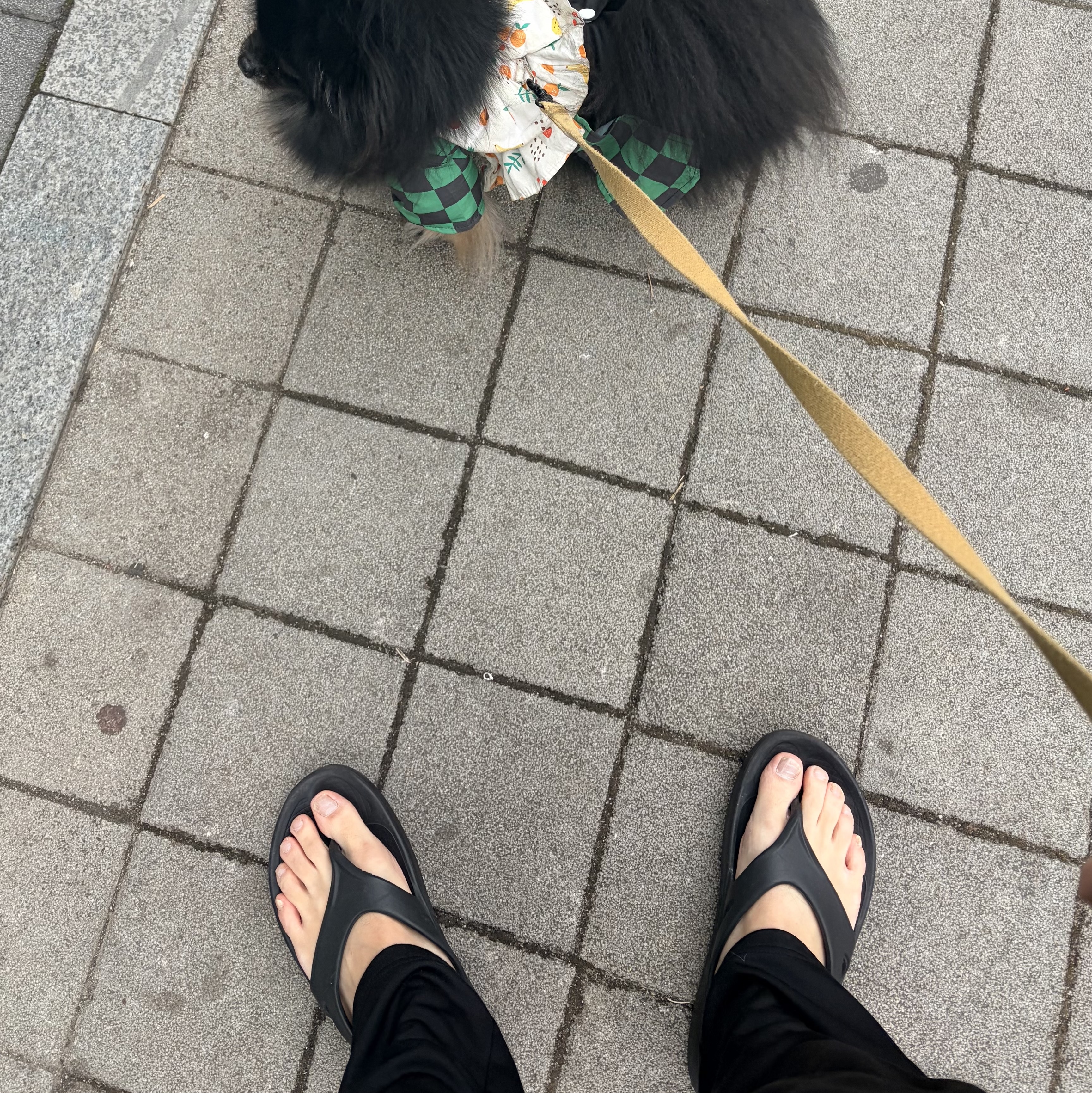 Oofos OOriginal Black 착용 스타일