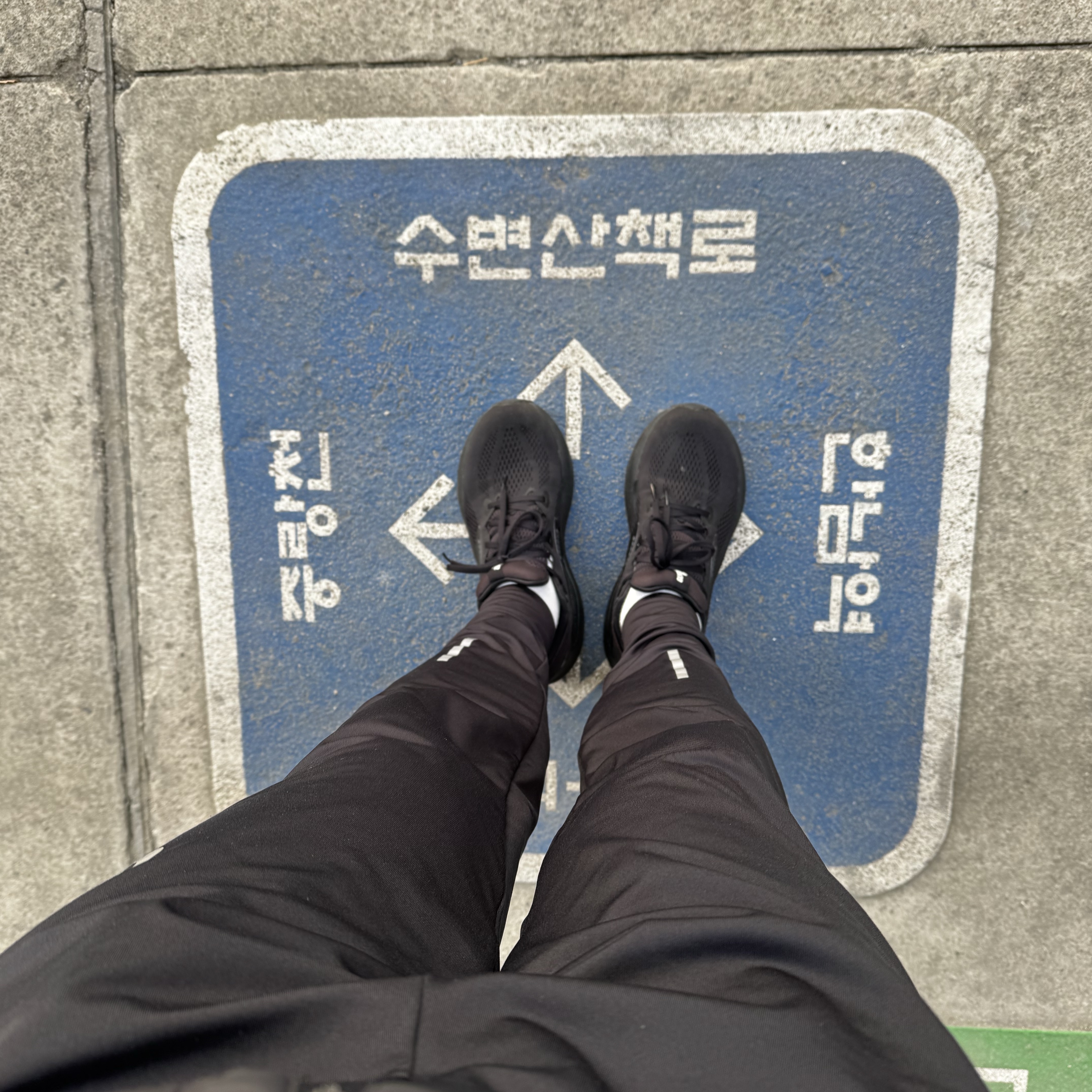 Brooks Running Adrenaline GTS 25 Black - D Medium 착용 스타일