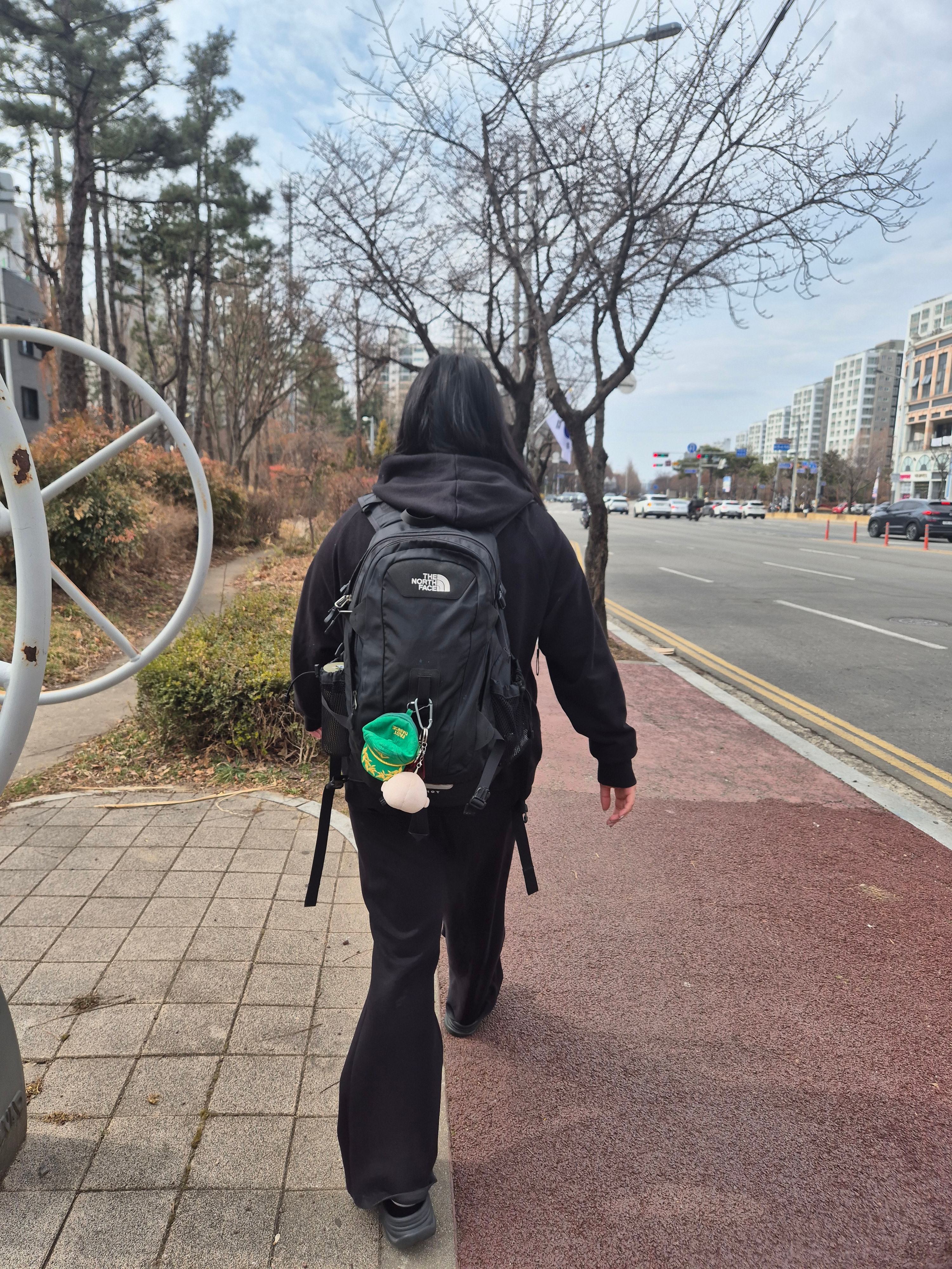 The North Face Hot Shot Black 착용 스타일