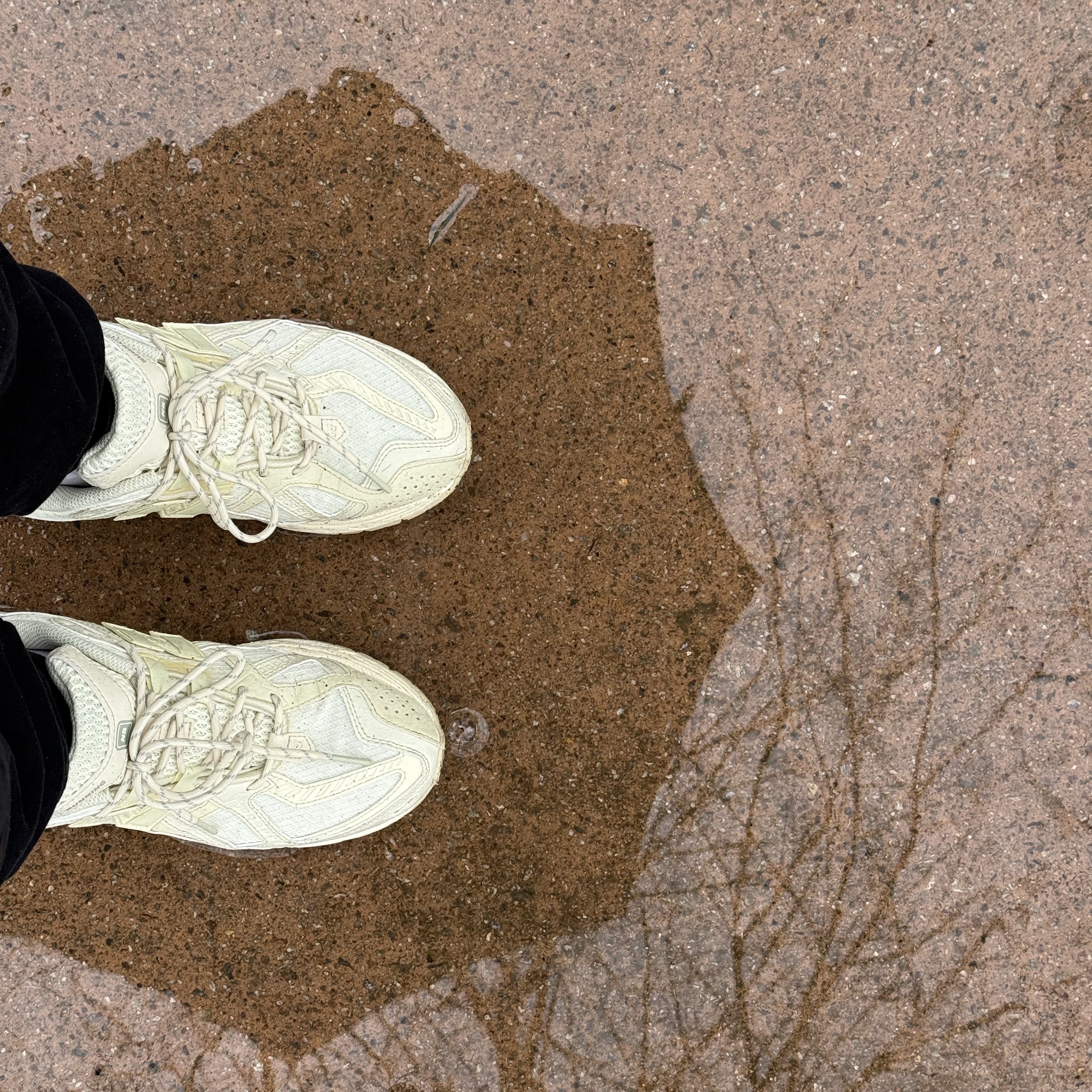 New Balance 1906U Pale Moss 착용 스타일