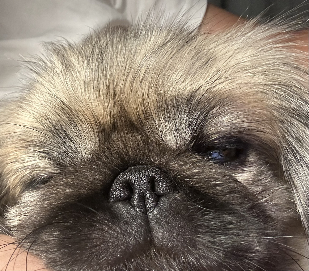 관심 유저 프로필 이미지