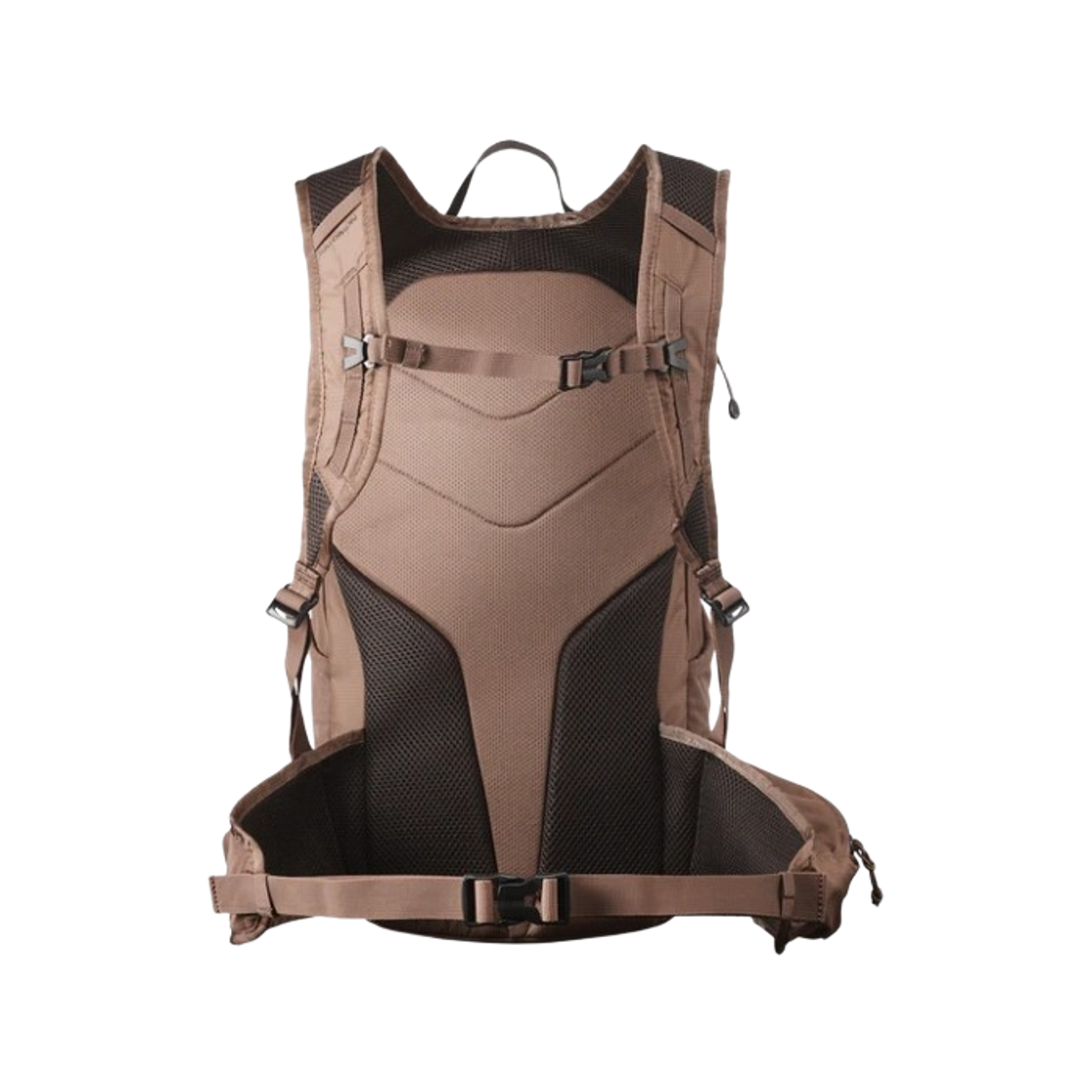 살로몬 트레일블레이저 20 브라운(Salomon Trailblazer 20 Brown) - 2
