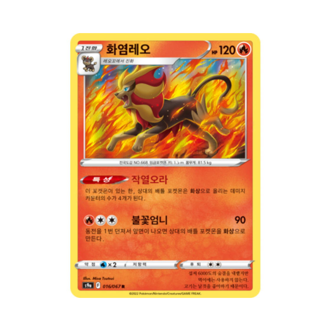 포켓몬 TCG 화염레오 R 배틀리전 (한글판)(Pokemon TCG Pyroar R Battle Region (Korean Ver.)) - 1