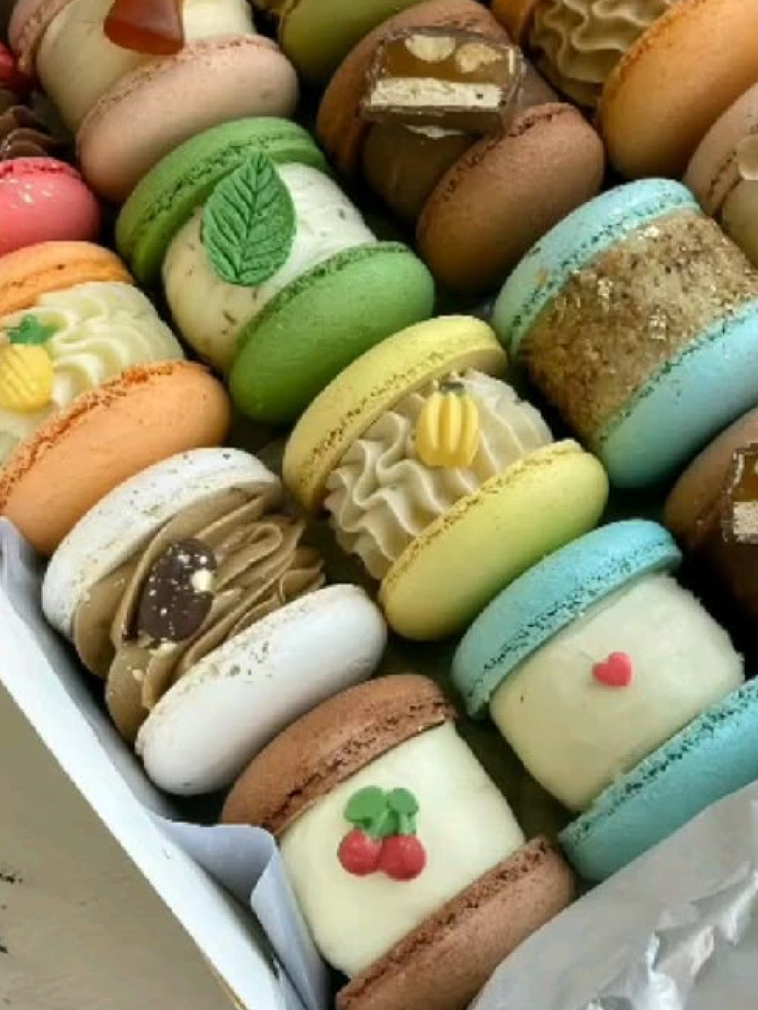 TAMUR Dates 8p, TAMUR Dates 3p 착용 스타일 - 2